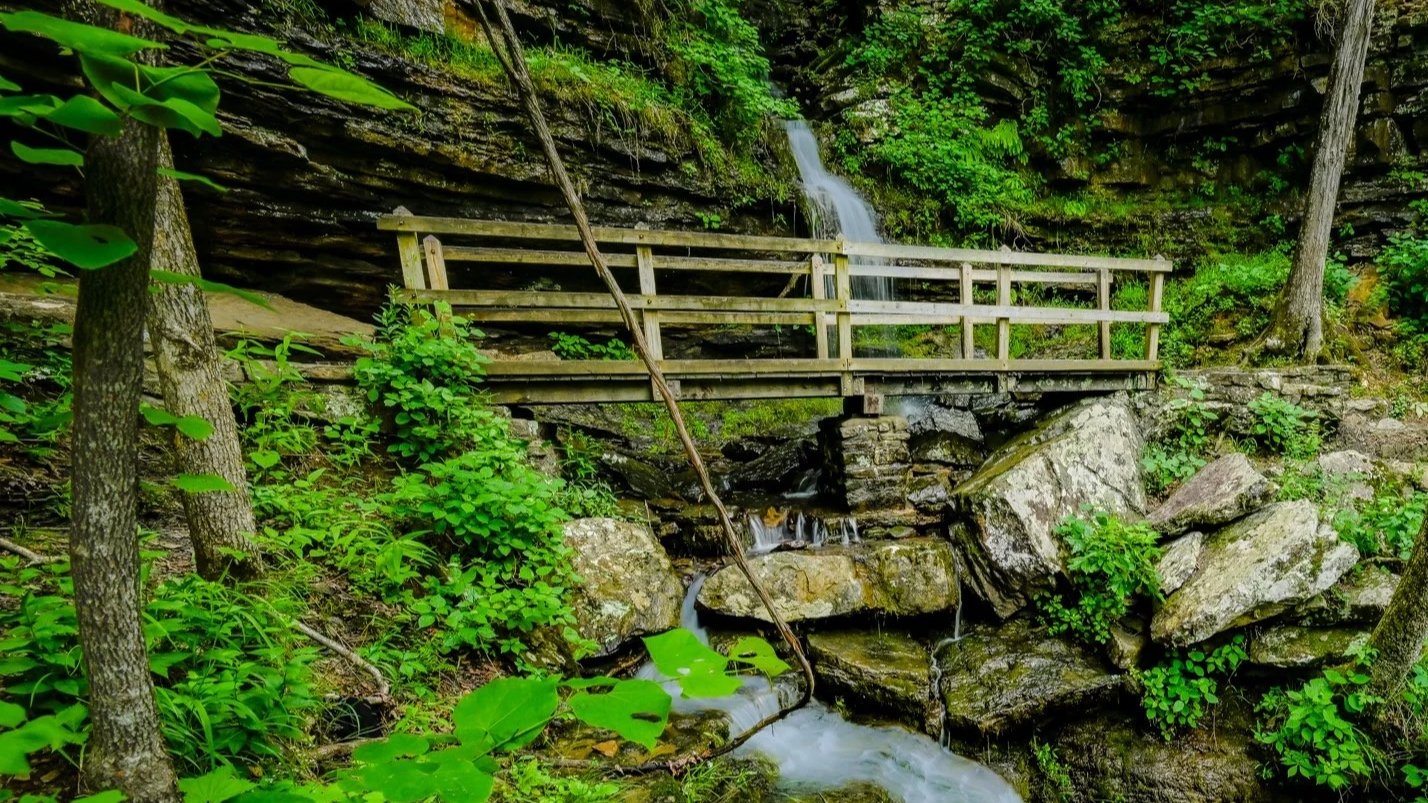 Immerse yourself in breathtaking landscapes from Northwest Arkansas and scenic locations nationwide. Our Landscape Photography Gallery offers dramatic waterfalls, mountain vistas, and sunset scenes—perfect for art collectors and home décor inspiratio