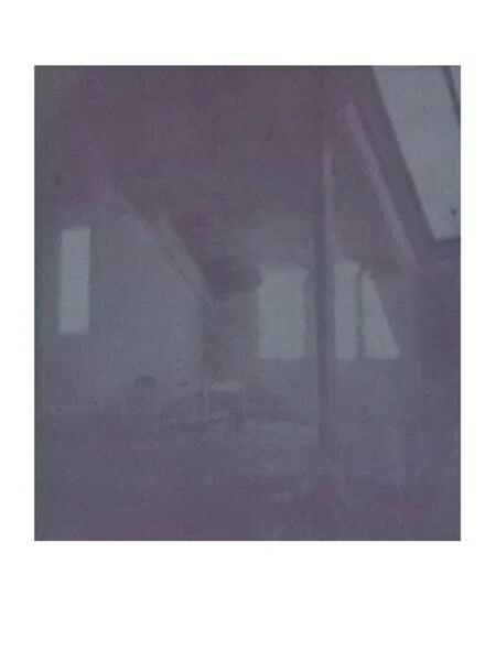   Video still at 52 seconds in Instant Polaroid development  