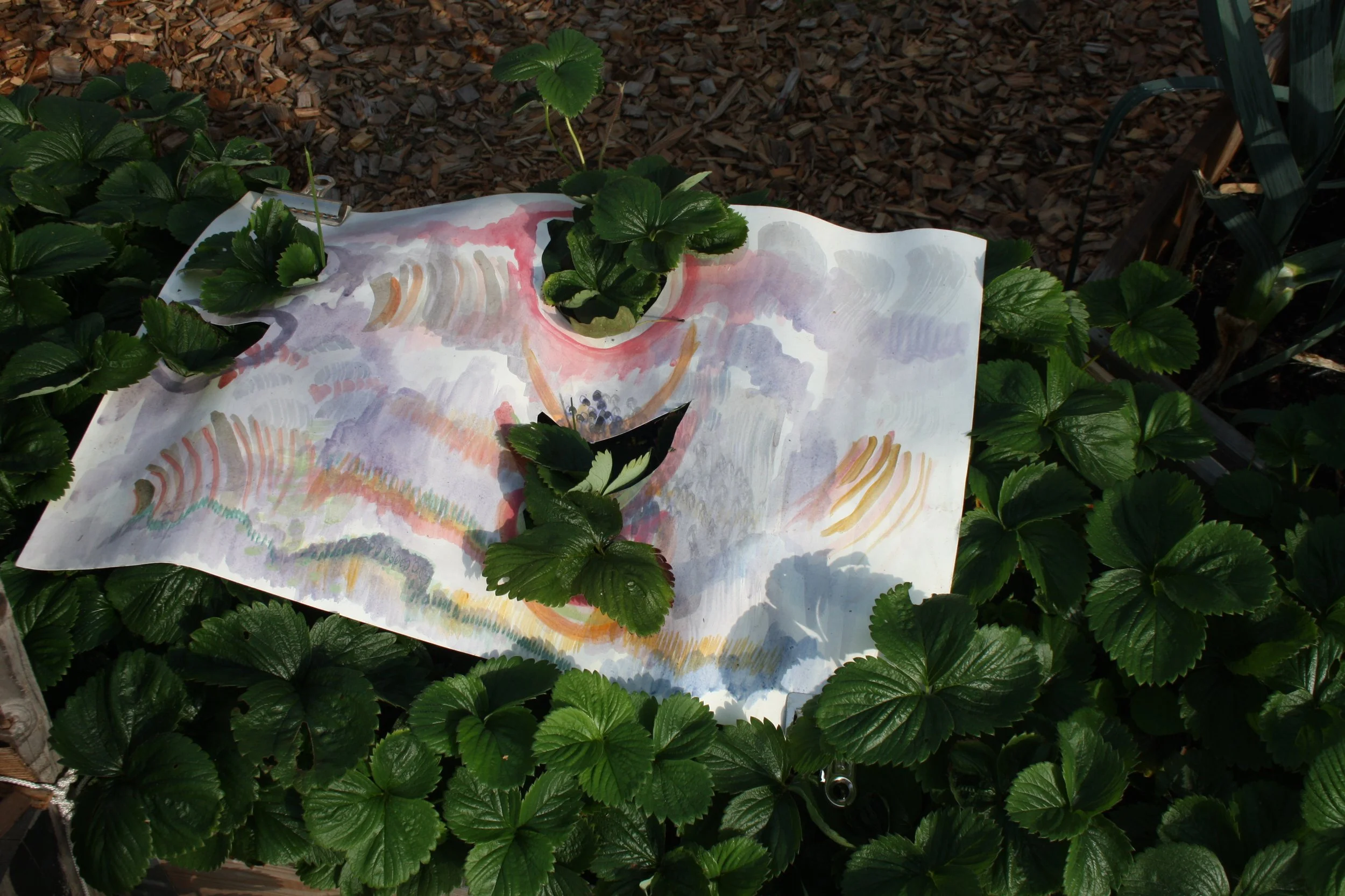   Extra Sensitive (1),  2021.  Watercolour and acrylic on paper.  Photo Credit: Maja Gramstrup 