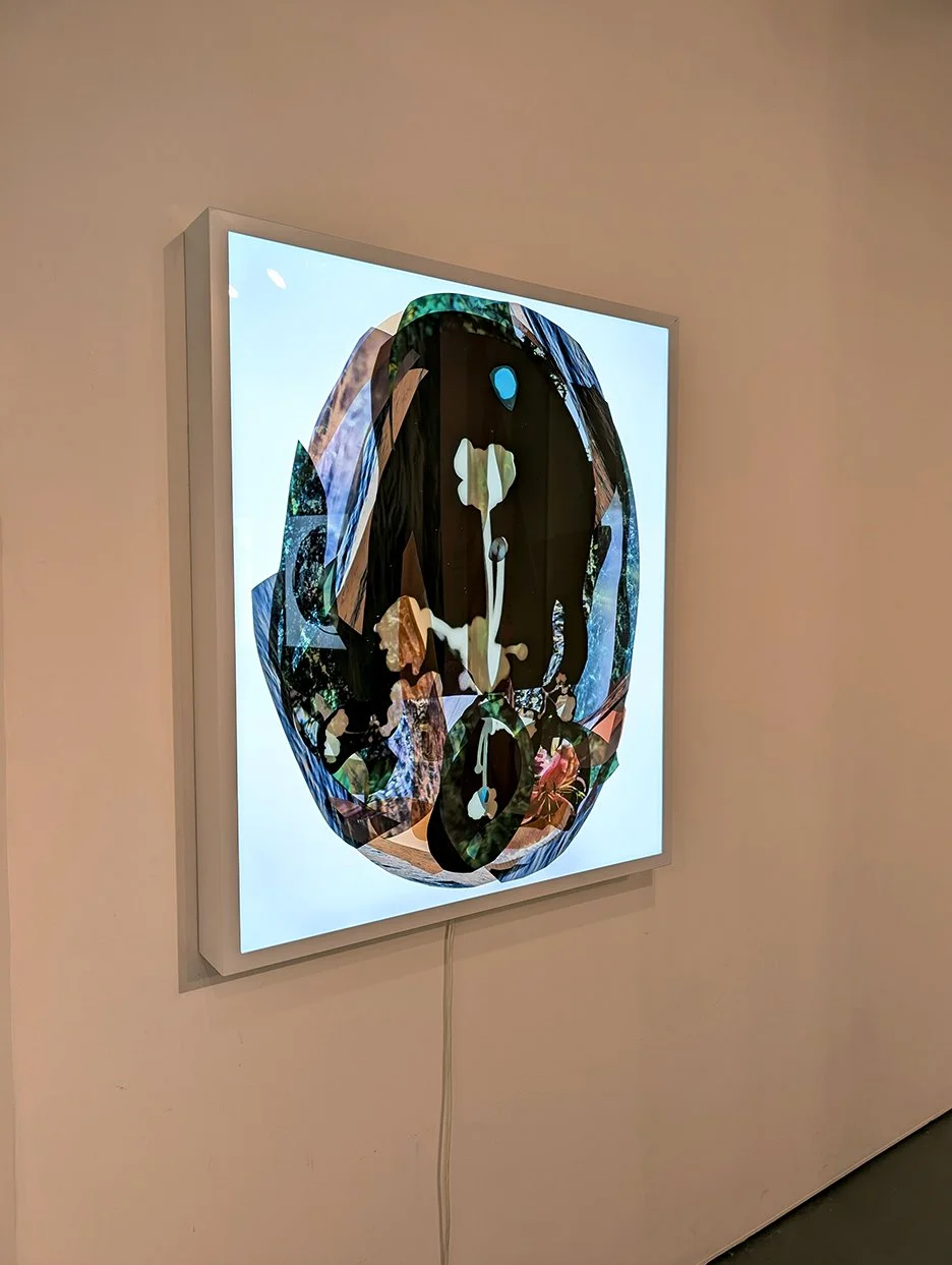 Seep Series (Installation)