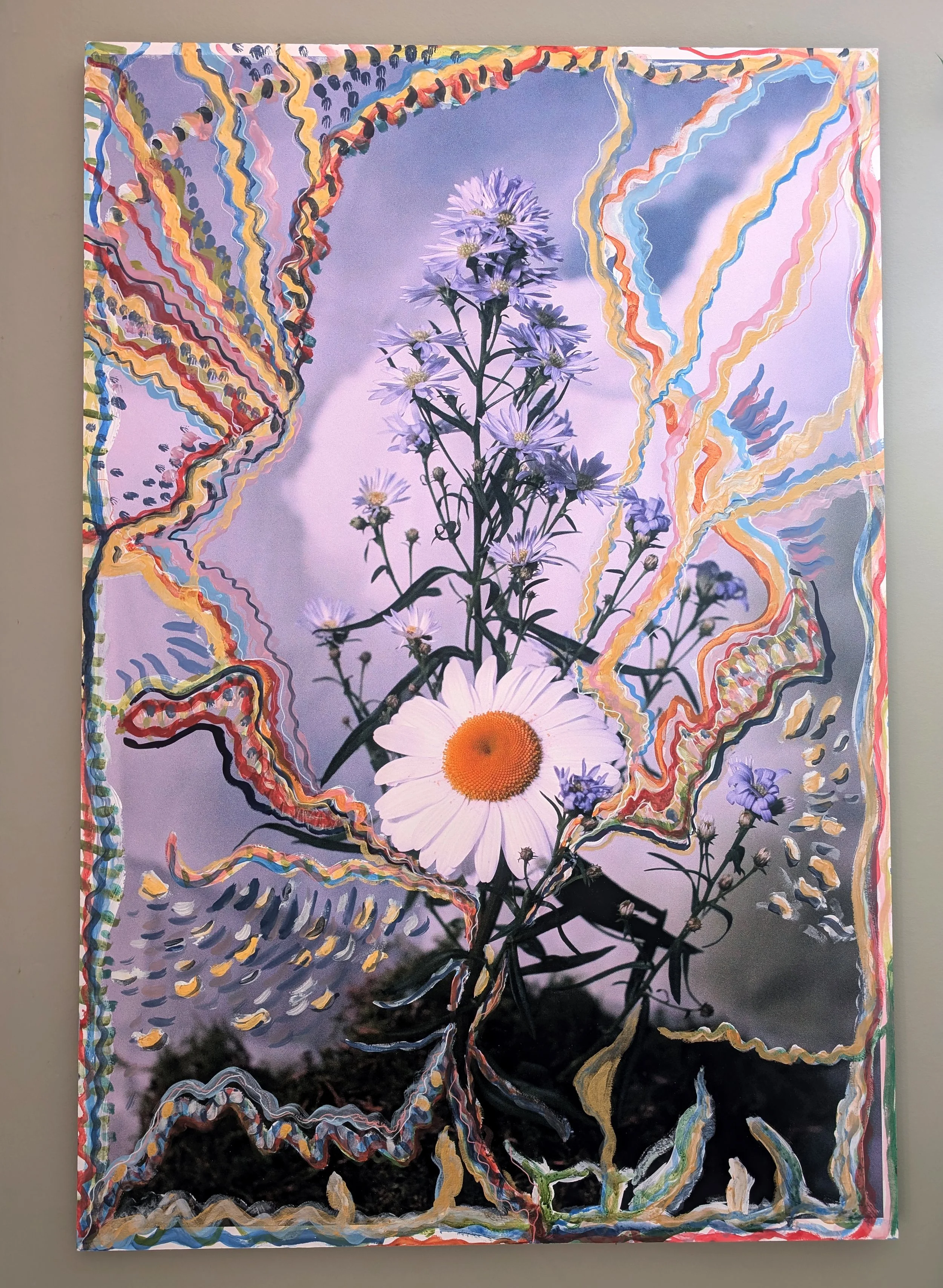 alva and kit daisy and aster.jpg