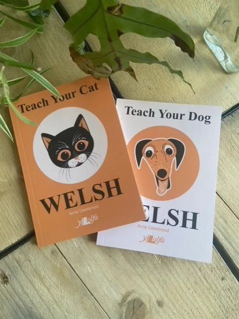 Teach Your Cat Welsh