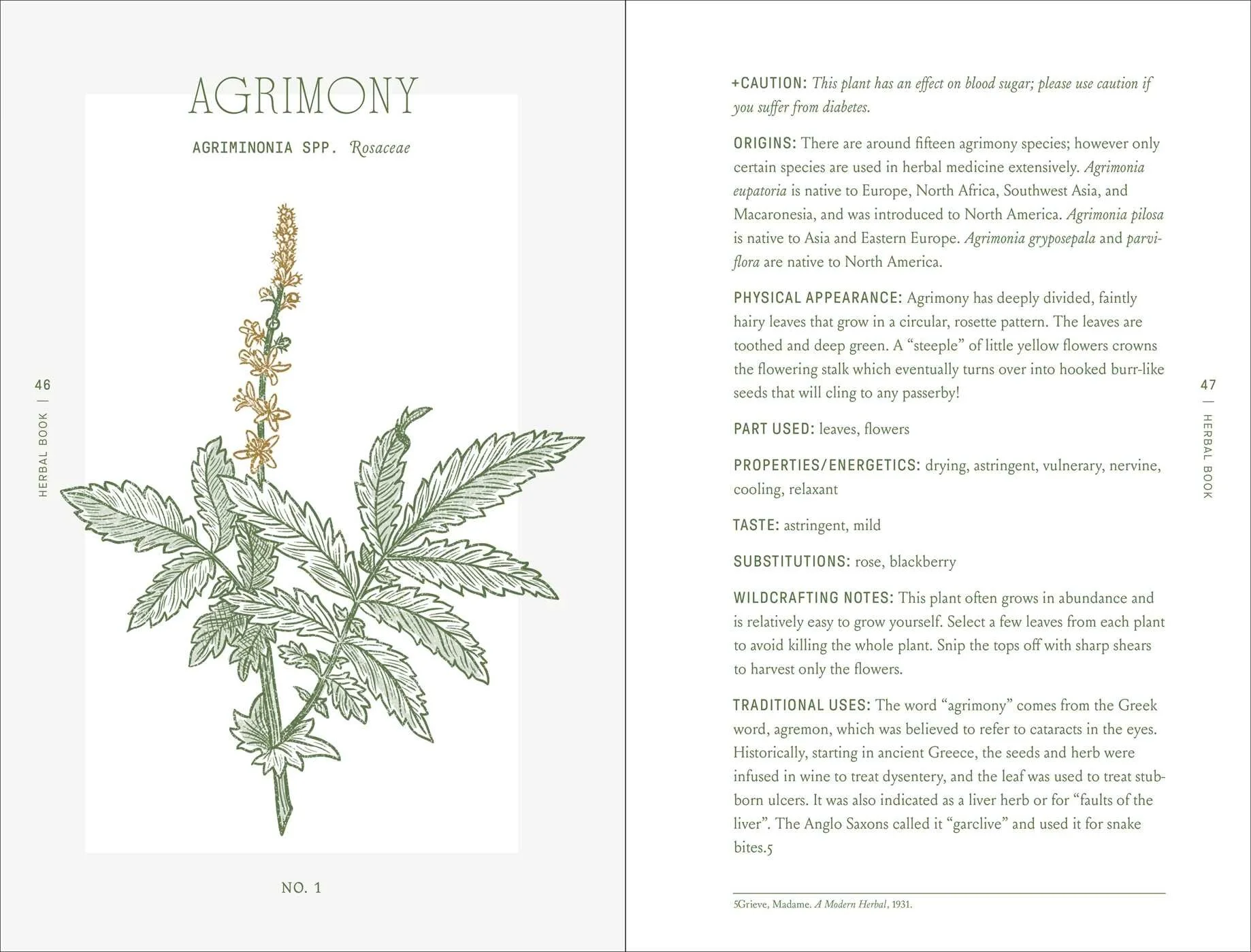 The-Complete-Folk-Herbal-3.jpg