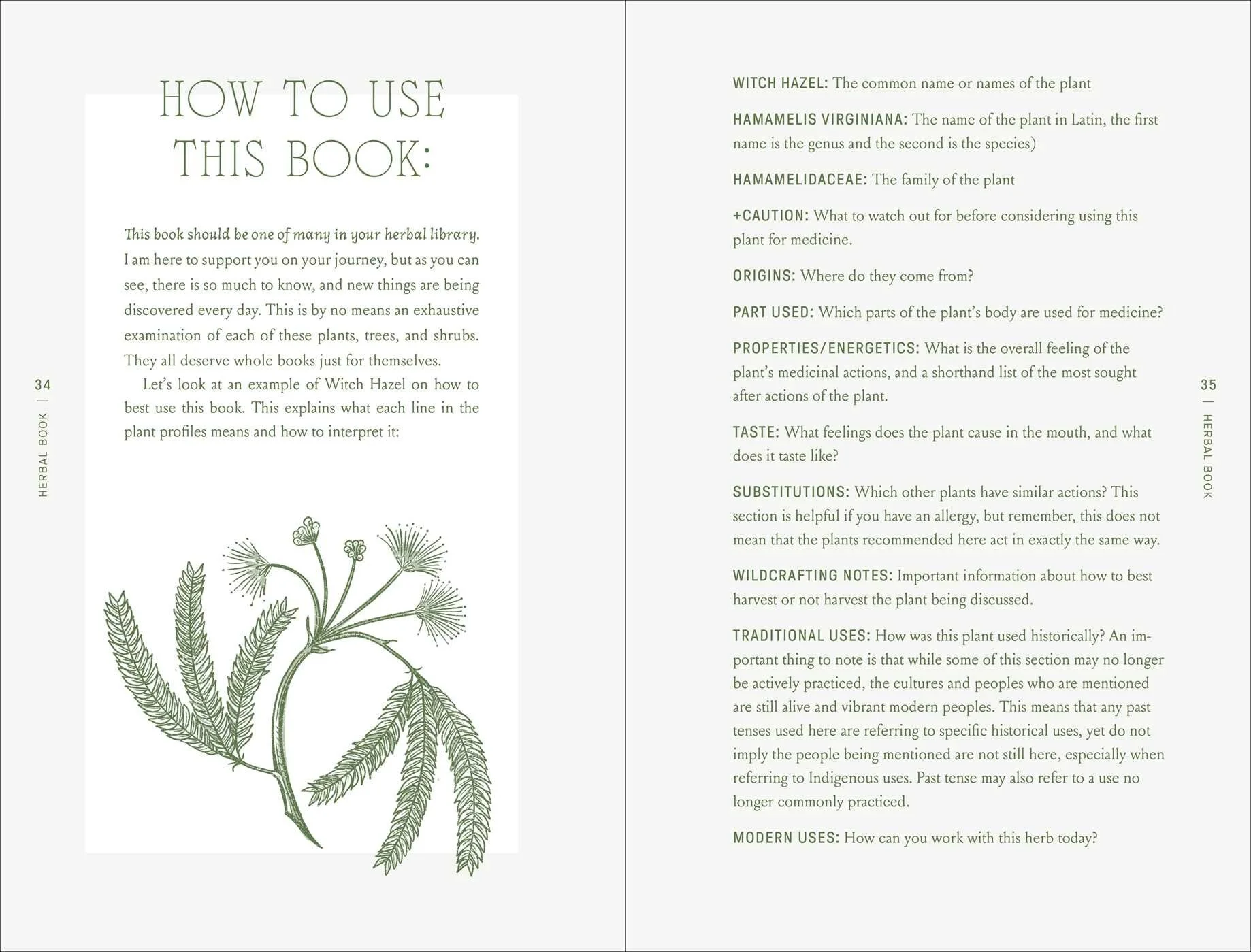 The-Complete-Folk-Herbal-1.jpg