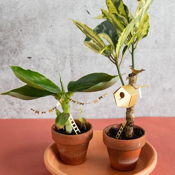 Tiny-birdhouse_Botanopia_3.jpg