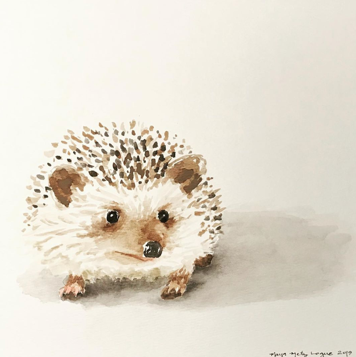 Hedgehog
