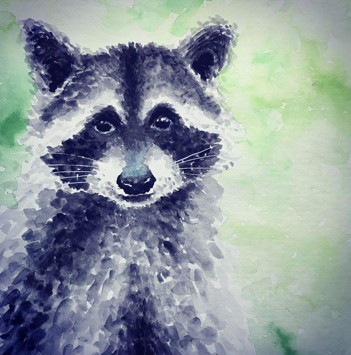 Rocky the Raccoon
