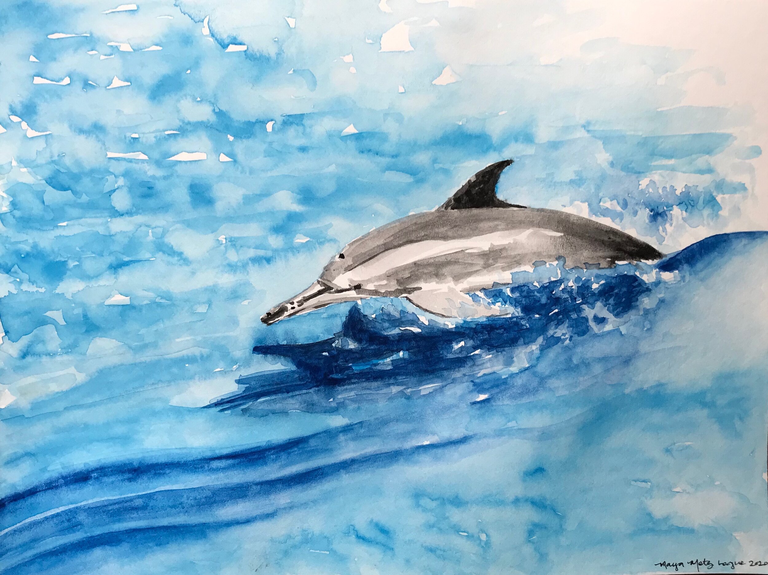 Dolphin
