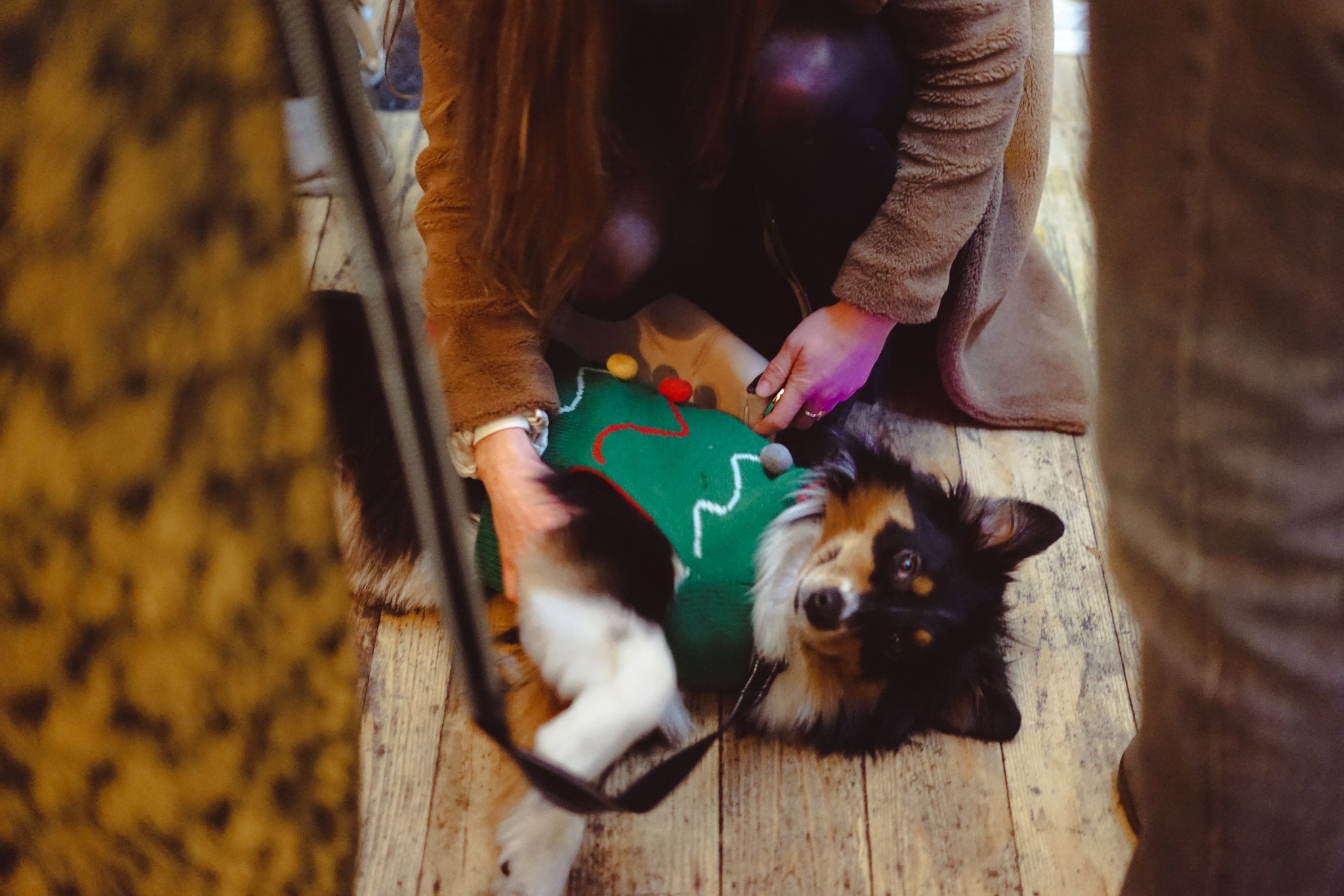 Velo Domestique’s 2024 Festive Opening Hours: We can’t wait to see you over Christmas