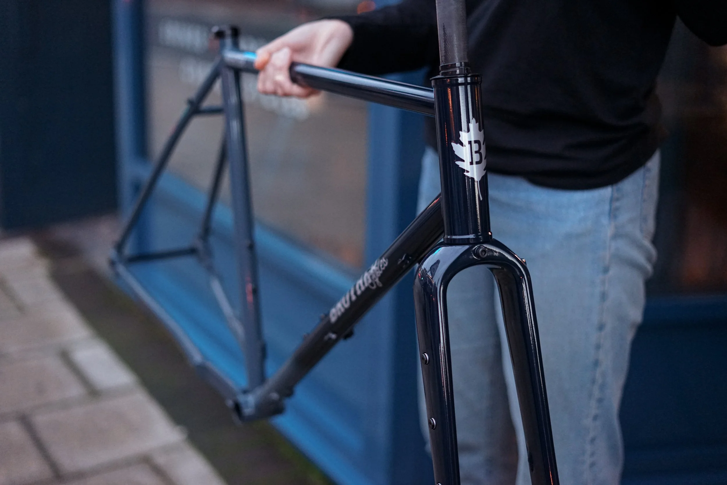 velo-domestique-brother-mehteh-frameset-midnight-fadeSC01360.jpg