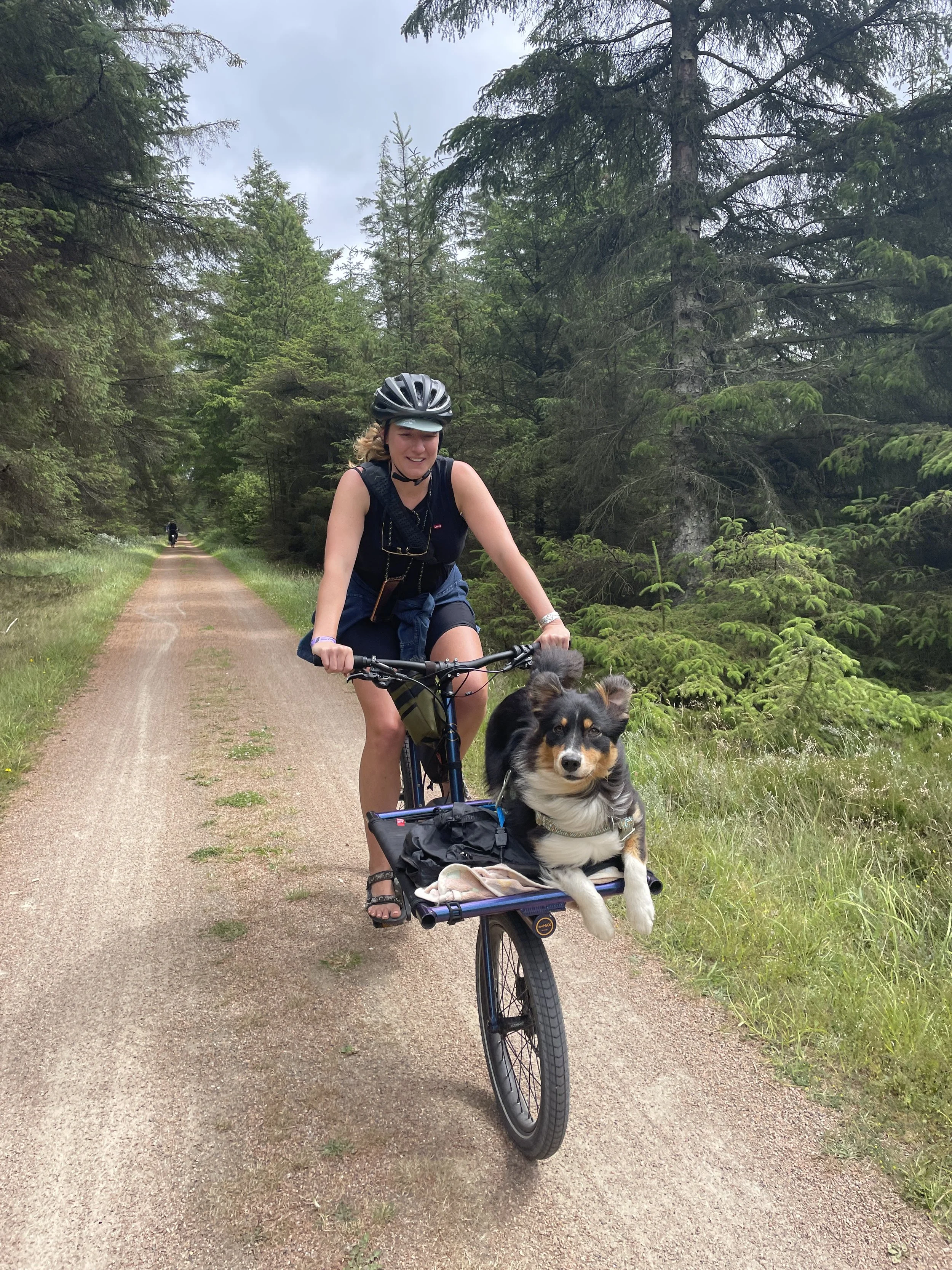 10 Years Riding an Omnium cargo bike
