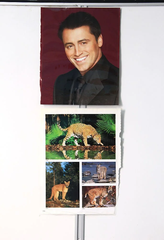 joey.jpg