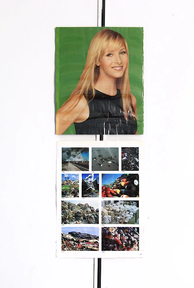 phoebe.jpg