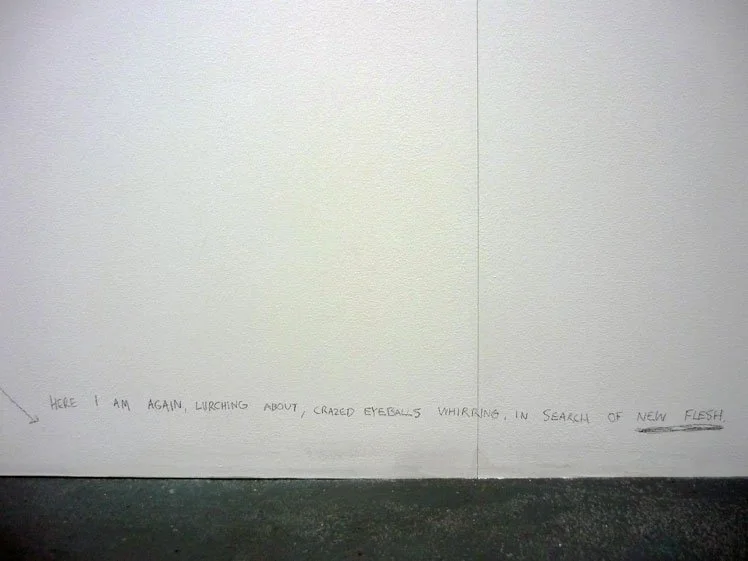 WHITE GOODS Schwartz Gallery Michael Pybus 6.jpg