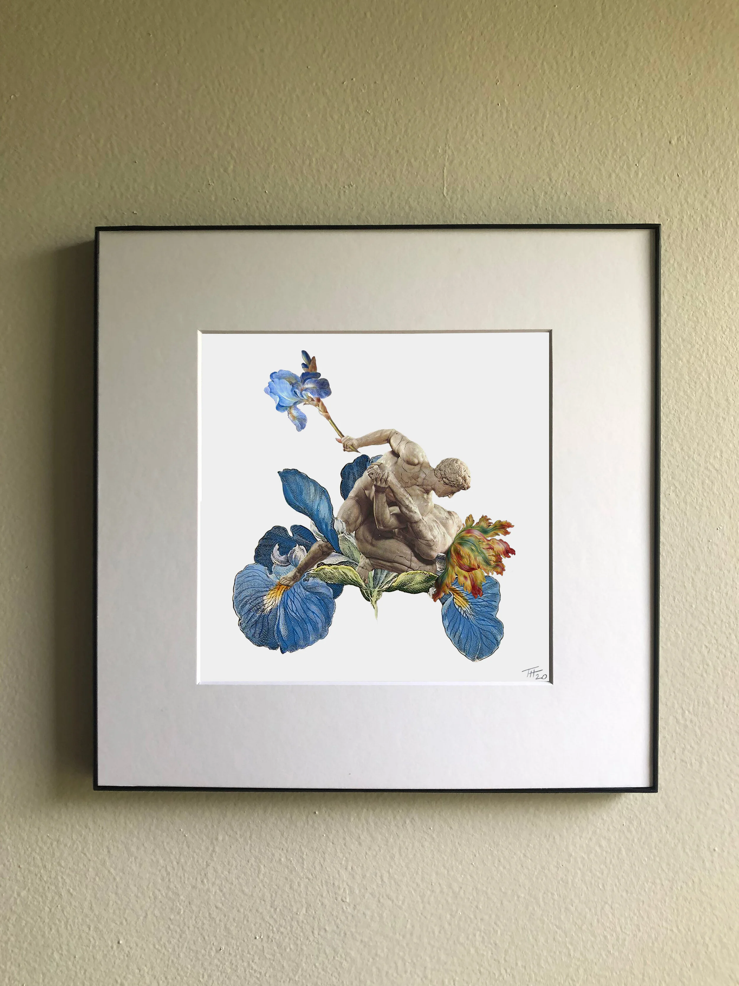 IRISES.jpg