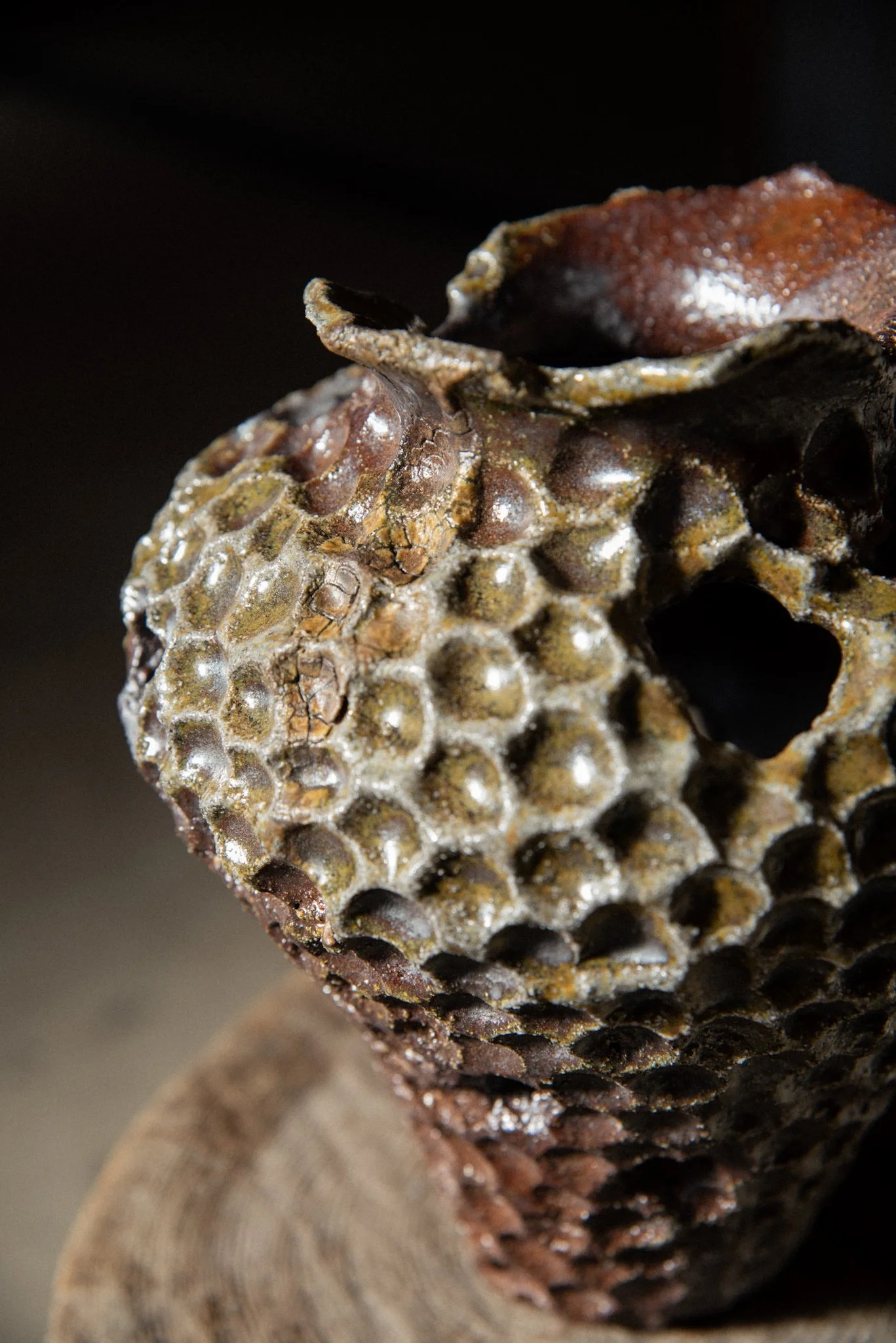 Wood Fired Organic Form 6.jpg