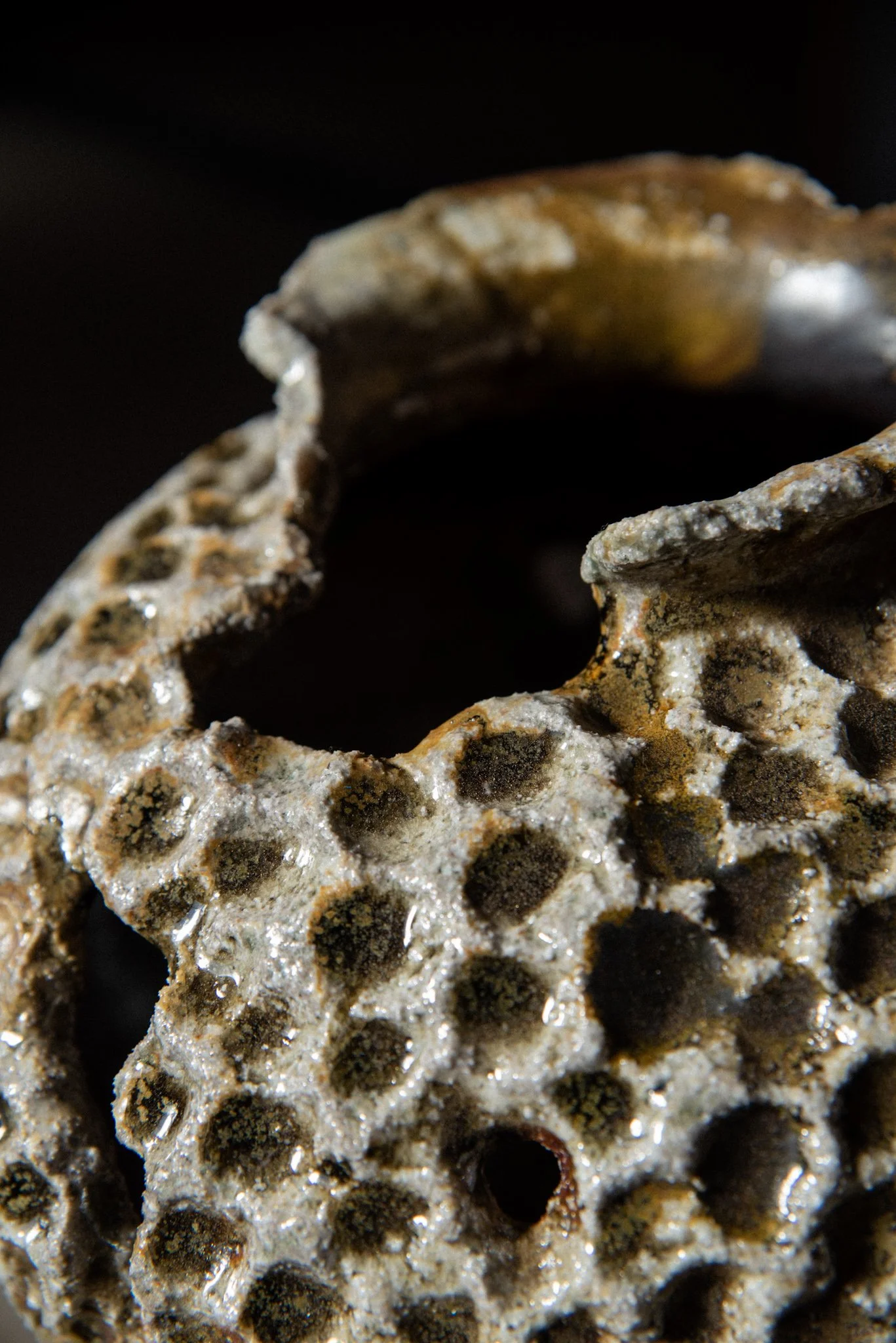 Wood Fired Organic Form 7.jpg