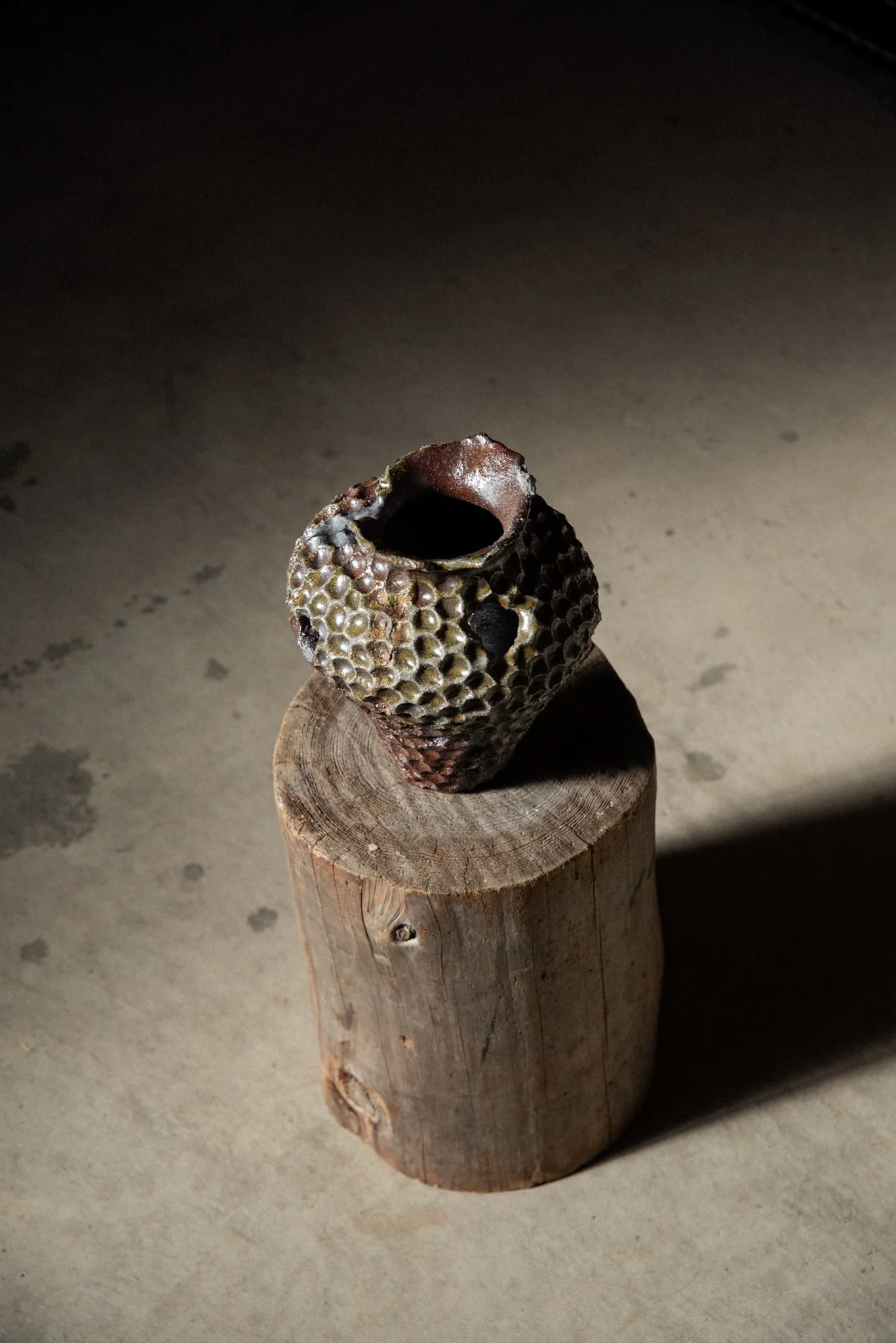 Wood Fired Organic Form 9.jpg