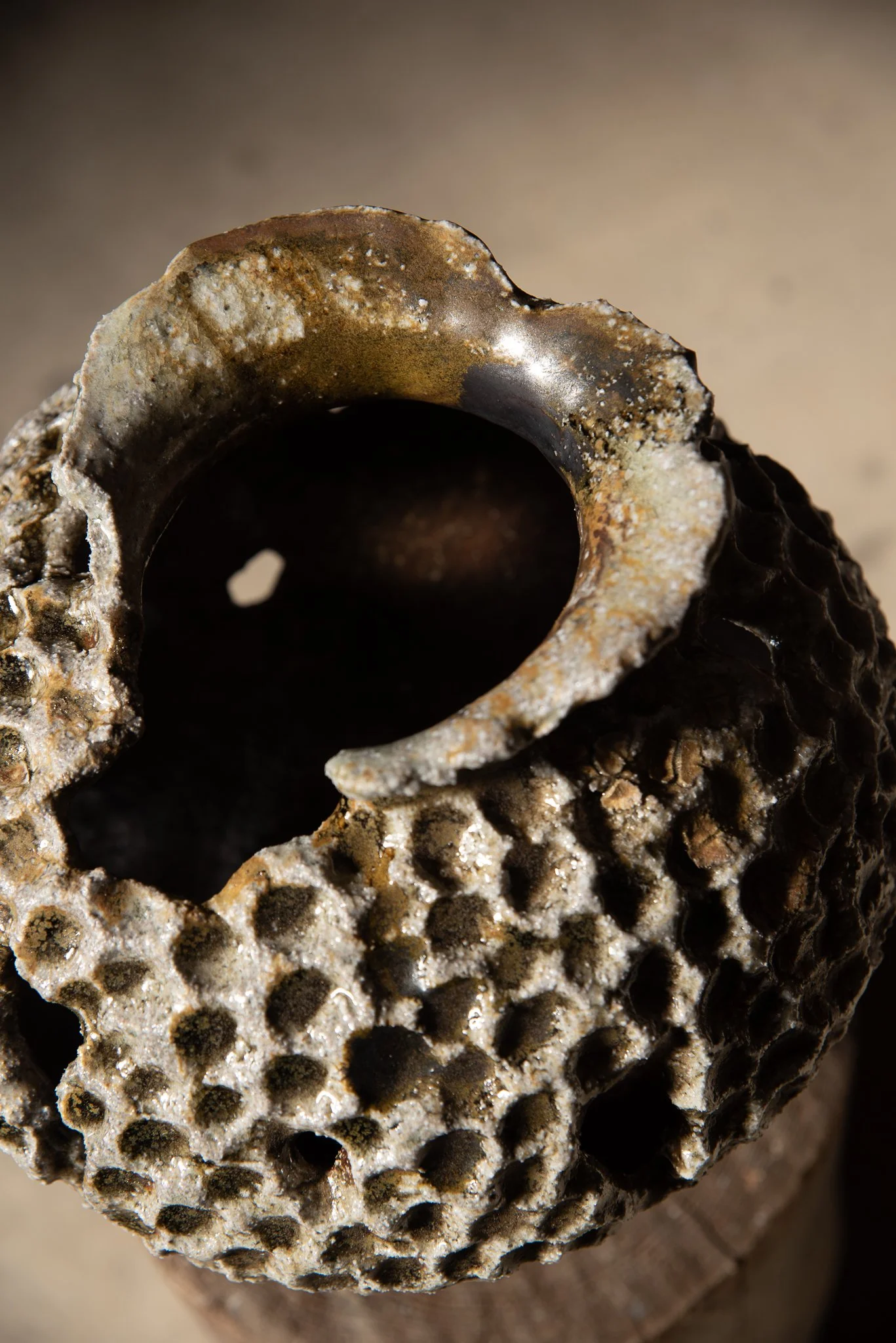 Wood Fired Organic Form 2.jpg