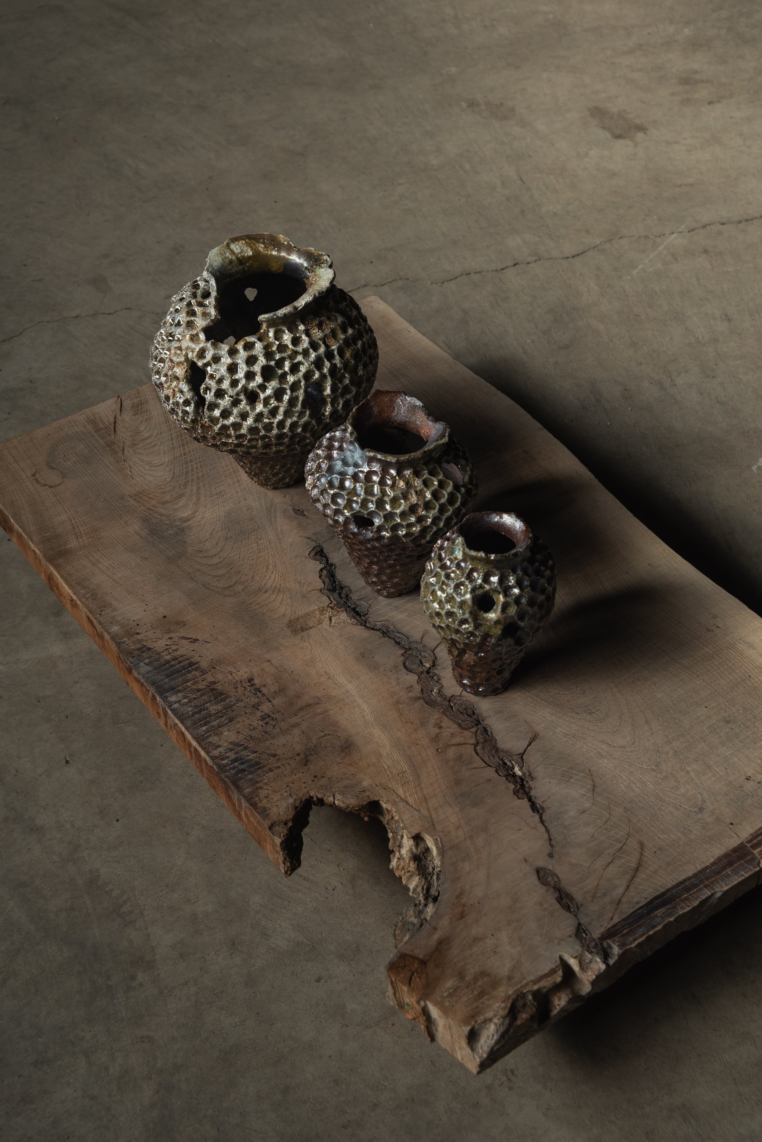 Wood Fired Organic Form Group.jpg