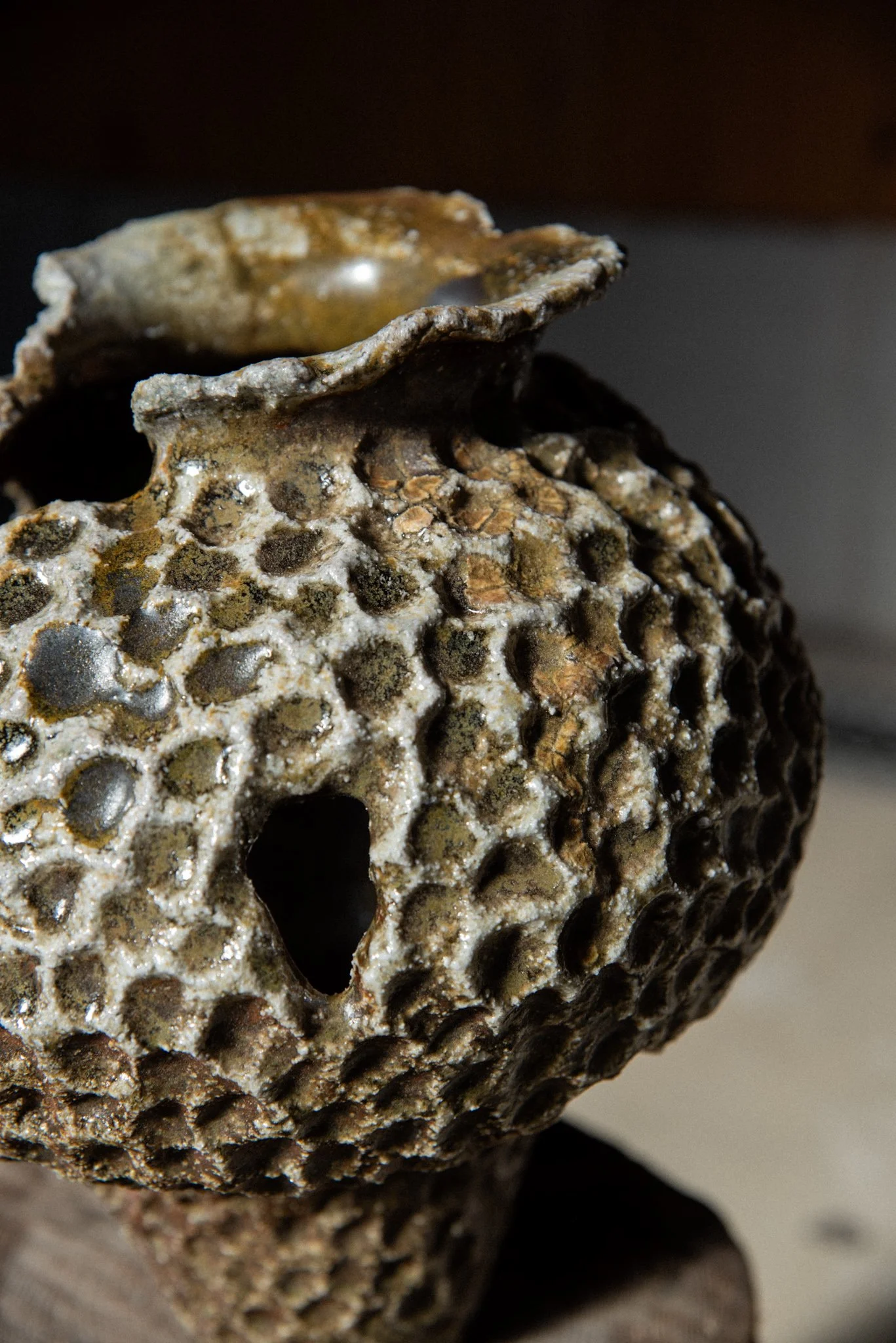 Wood Fired Organic Form 9.jpg