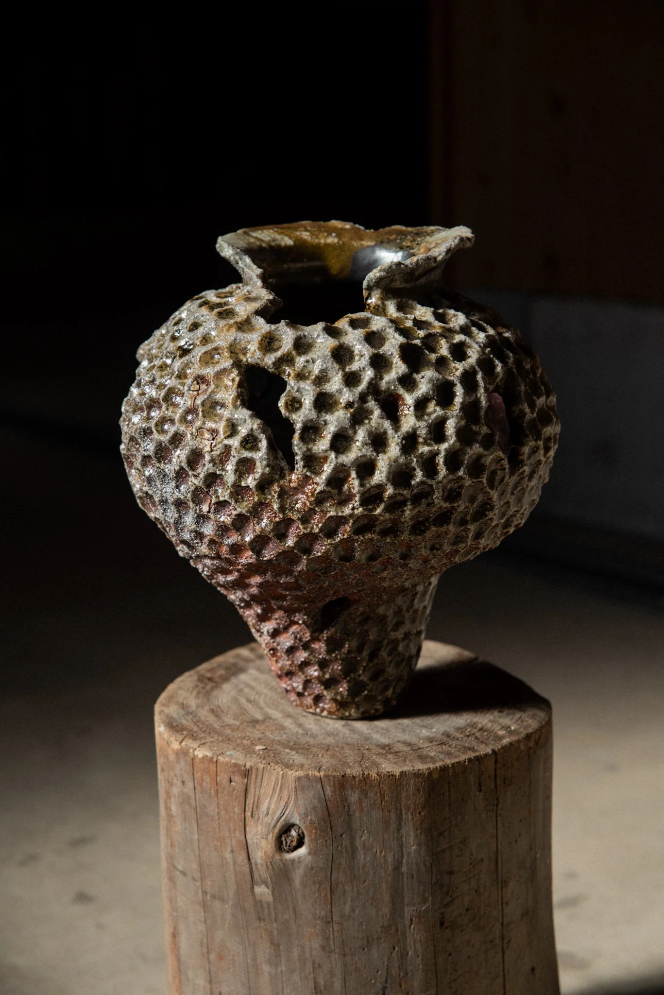 Wood Fired Organic Form 8.jpg