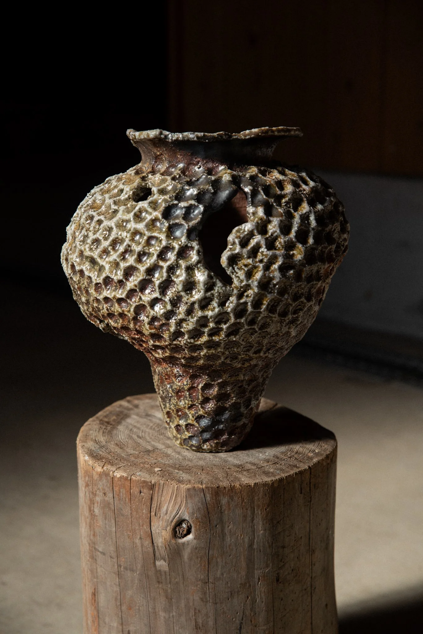 Wood Fired Organic Form 10.jpg