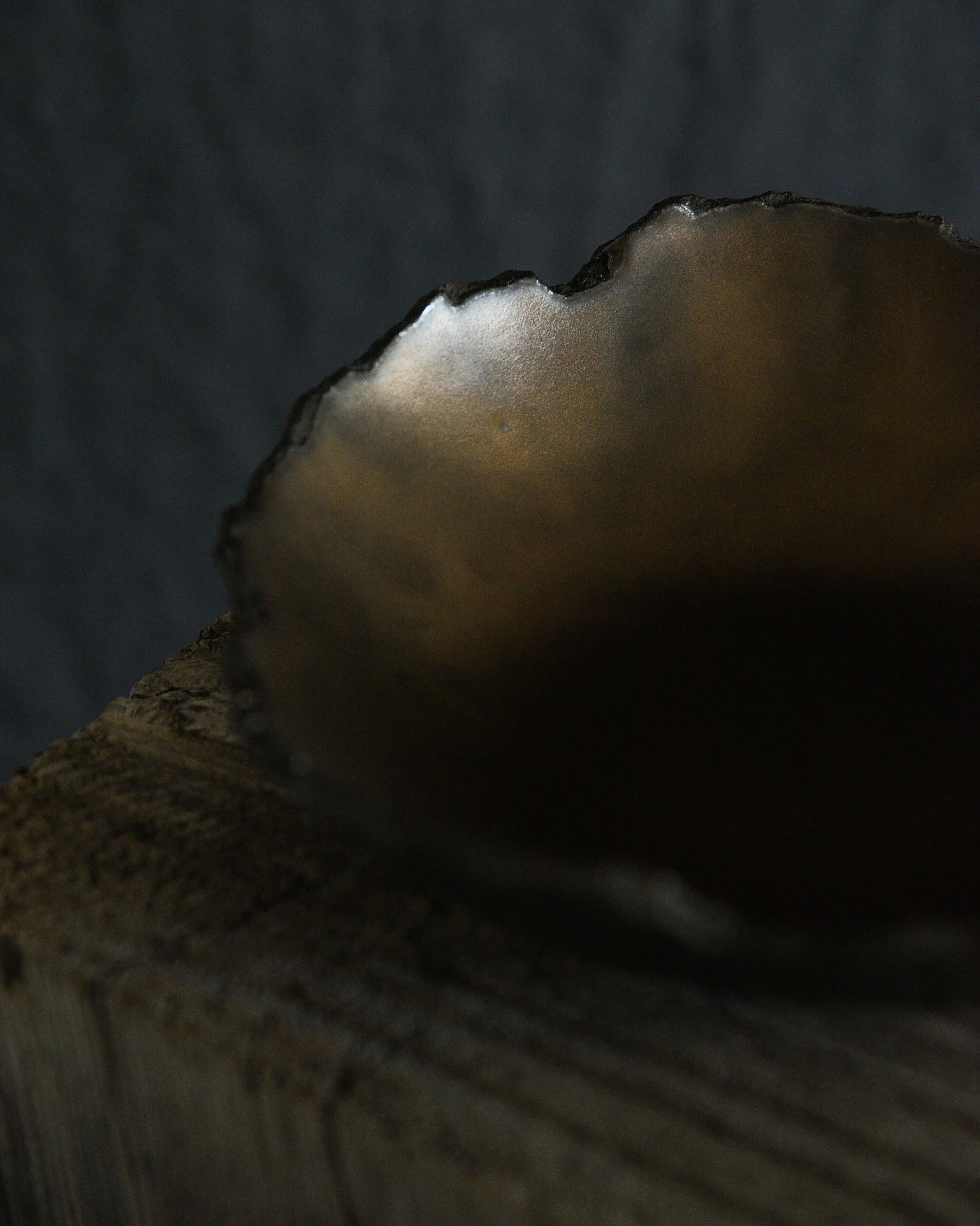 One-of-a-kind handmade ceramic vessel, contemporary wabi sabi with organic form and textured surface variation black bronze dish