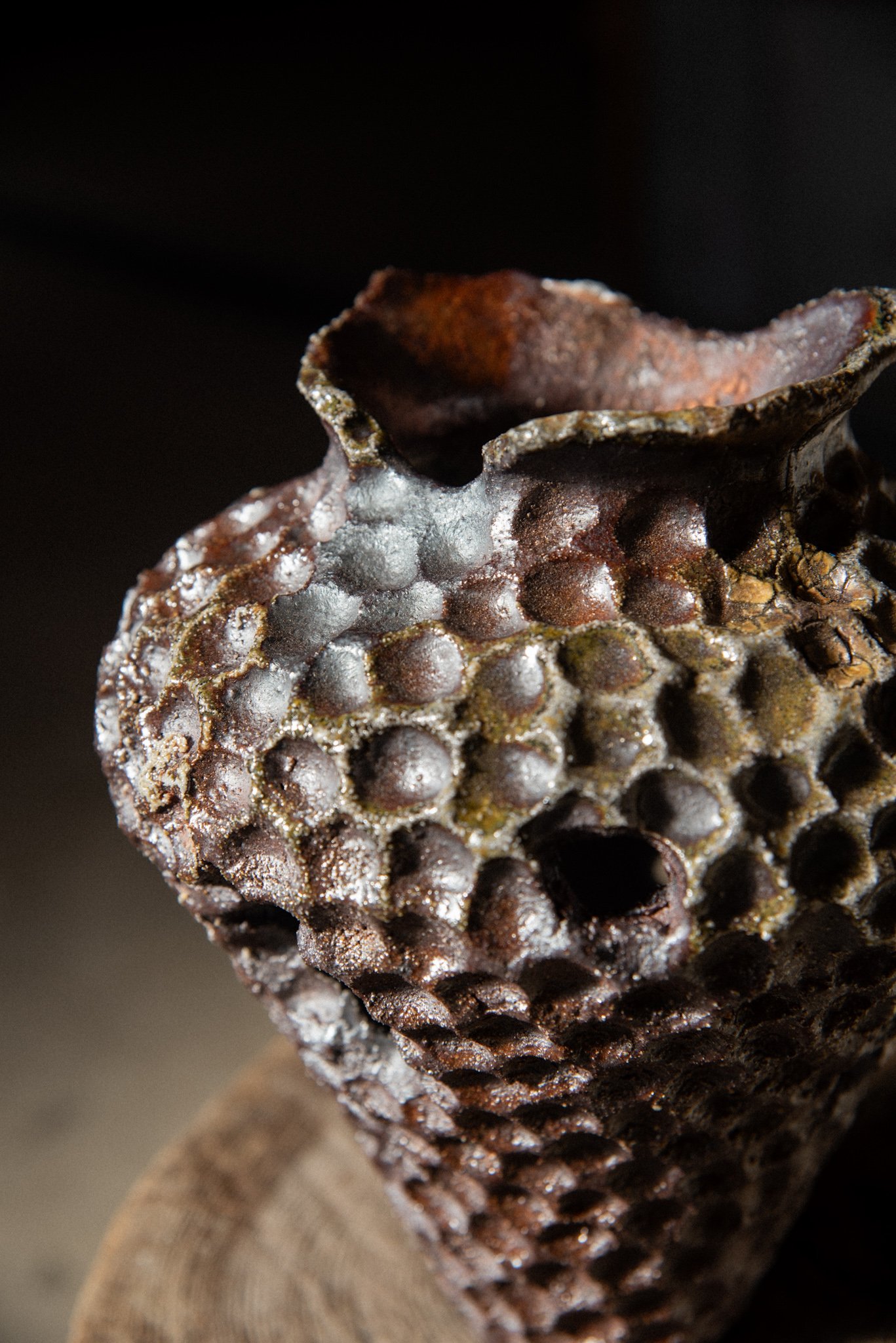 Wood Fired Organic Form 5.jpg