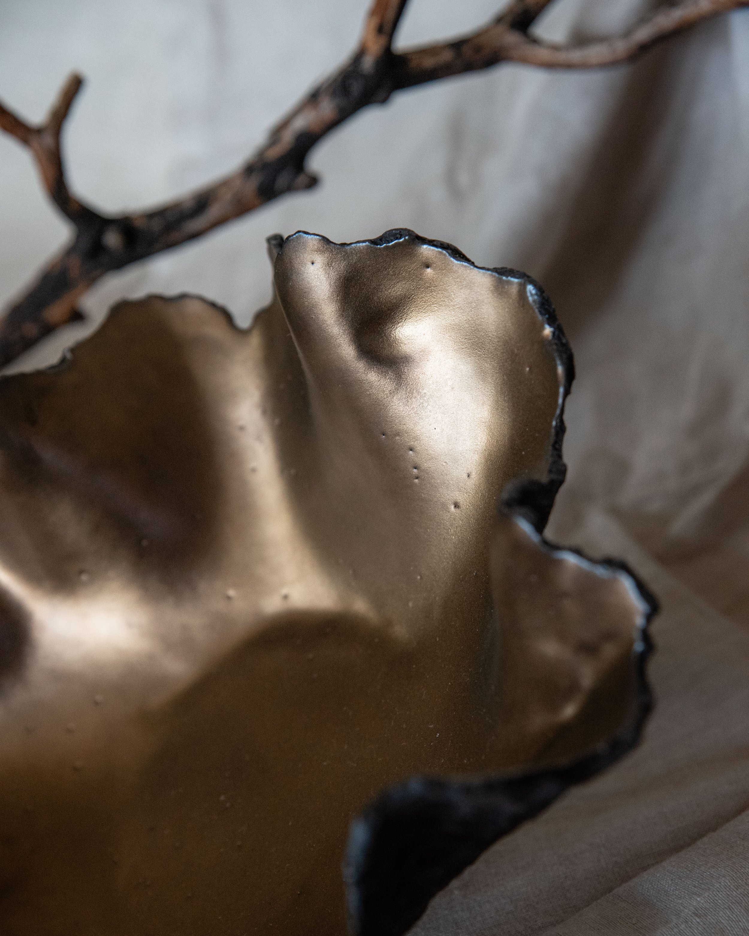 Onyx Organic Vessel 5.jpg