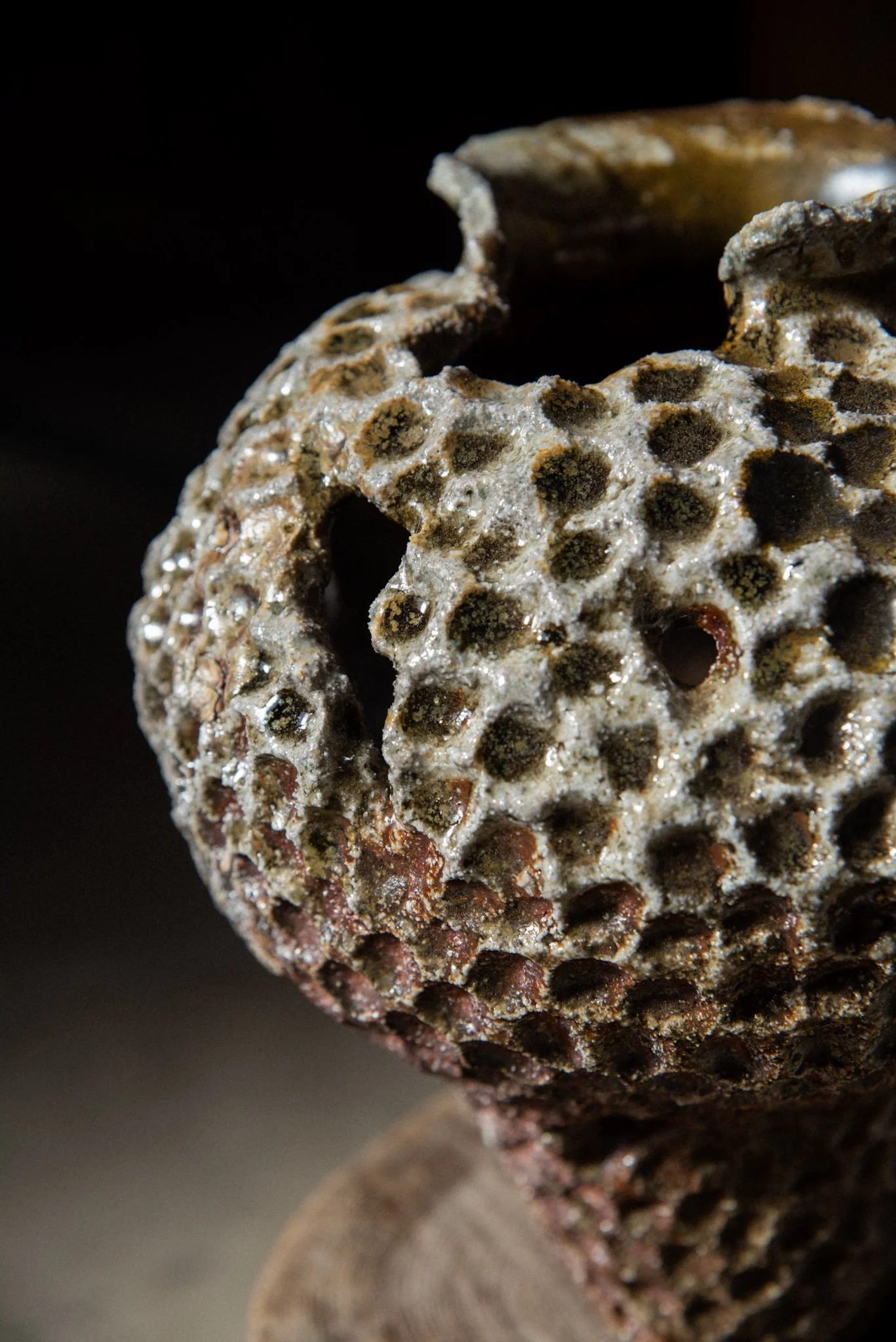 Wood Fired Organic Form 6.jpg