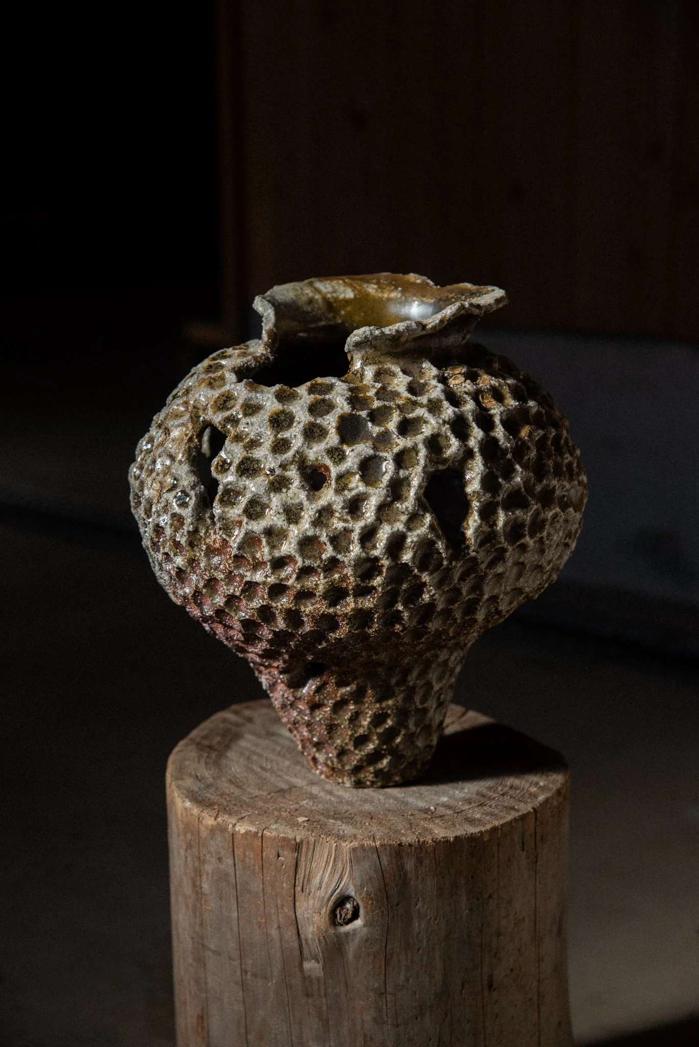 Wood Fired Organic Form 4.jpg