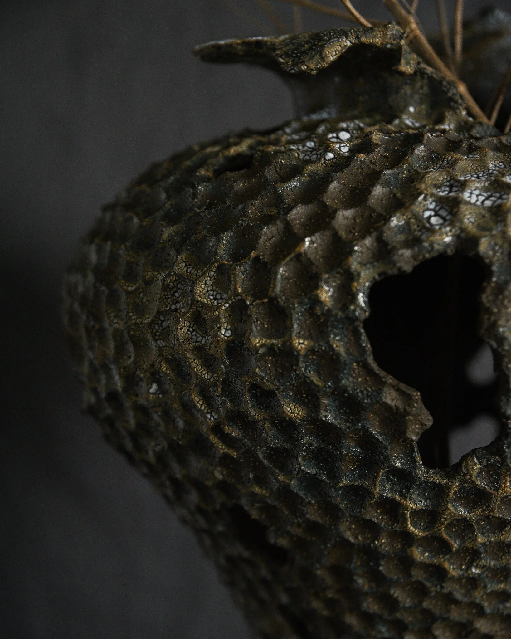 Close-up of a dark, textured object with a rough surface and irregular pattern, possibly a piece of volcanic rock or mineral, dark background.