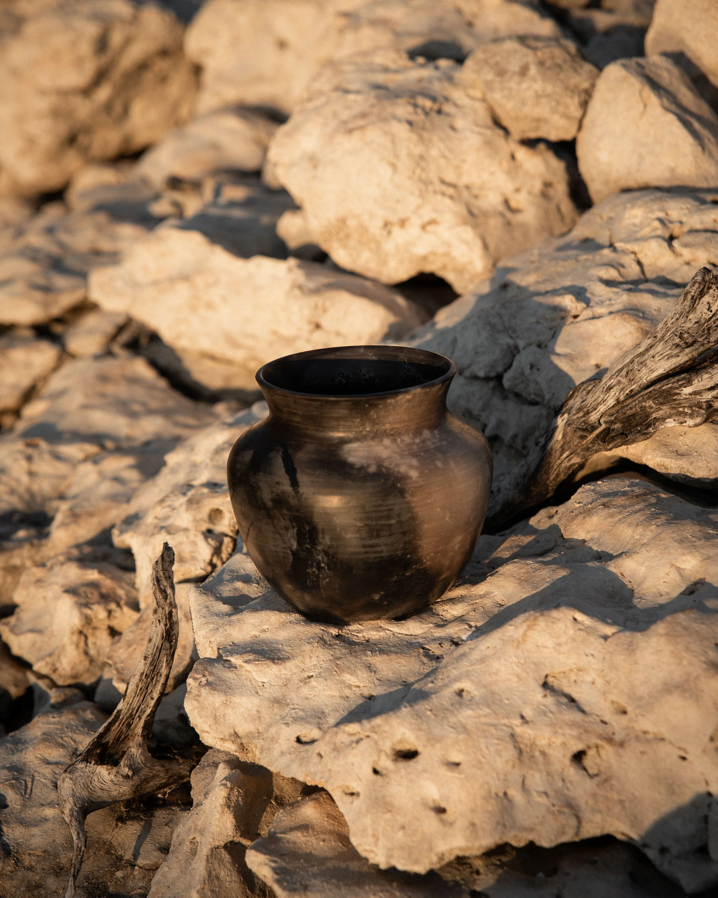 Cenizas Vessel 8.jpg