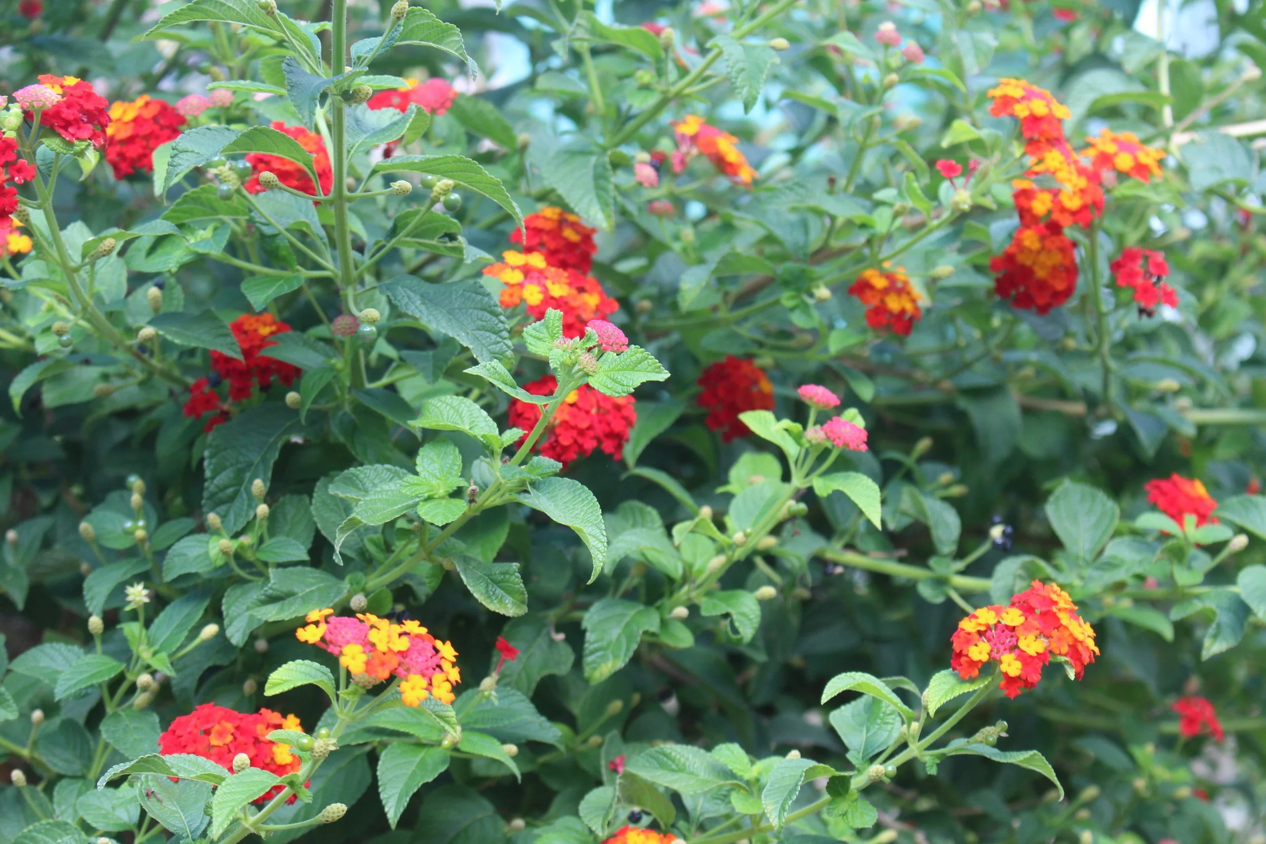 Sisterly Support Part 2: My Initial Thoughts After Attending Therapy