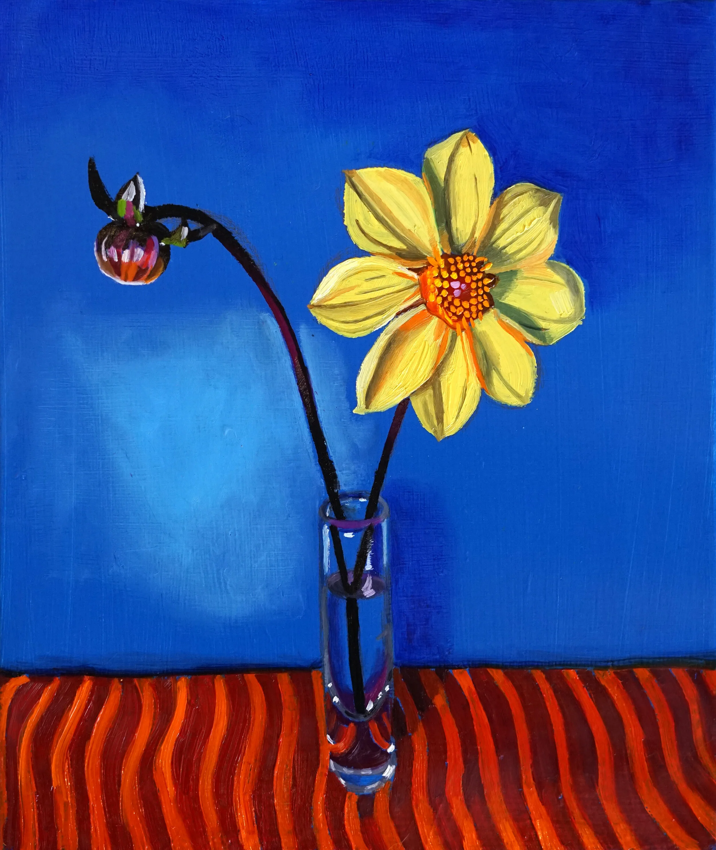   Yellow Dahlia on Lapis Blu e, 2019  Oil on canvas  26 x 30cm 