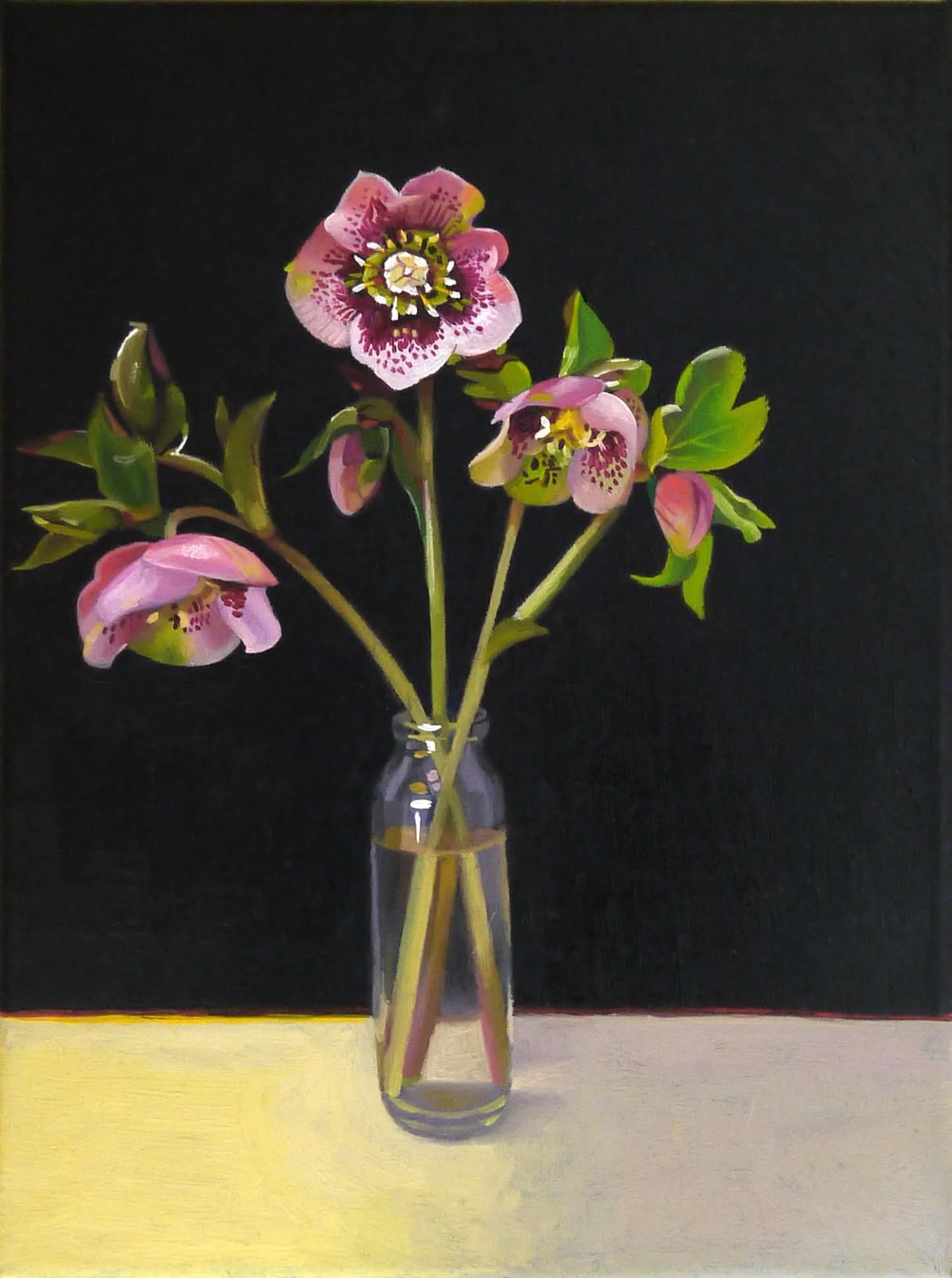 Hellebores on Black, oil on canvas, 23 x 31 cm