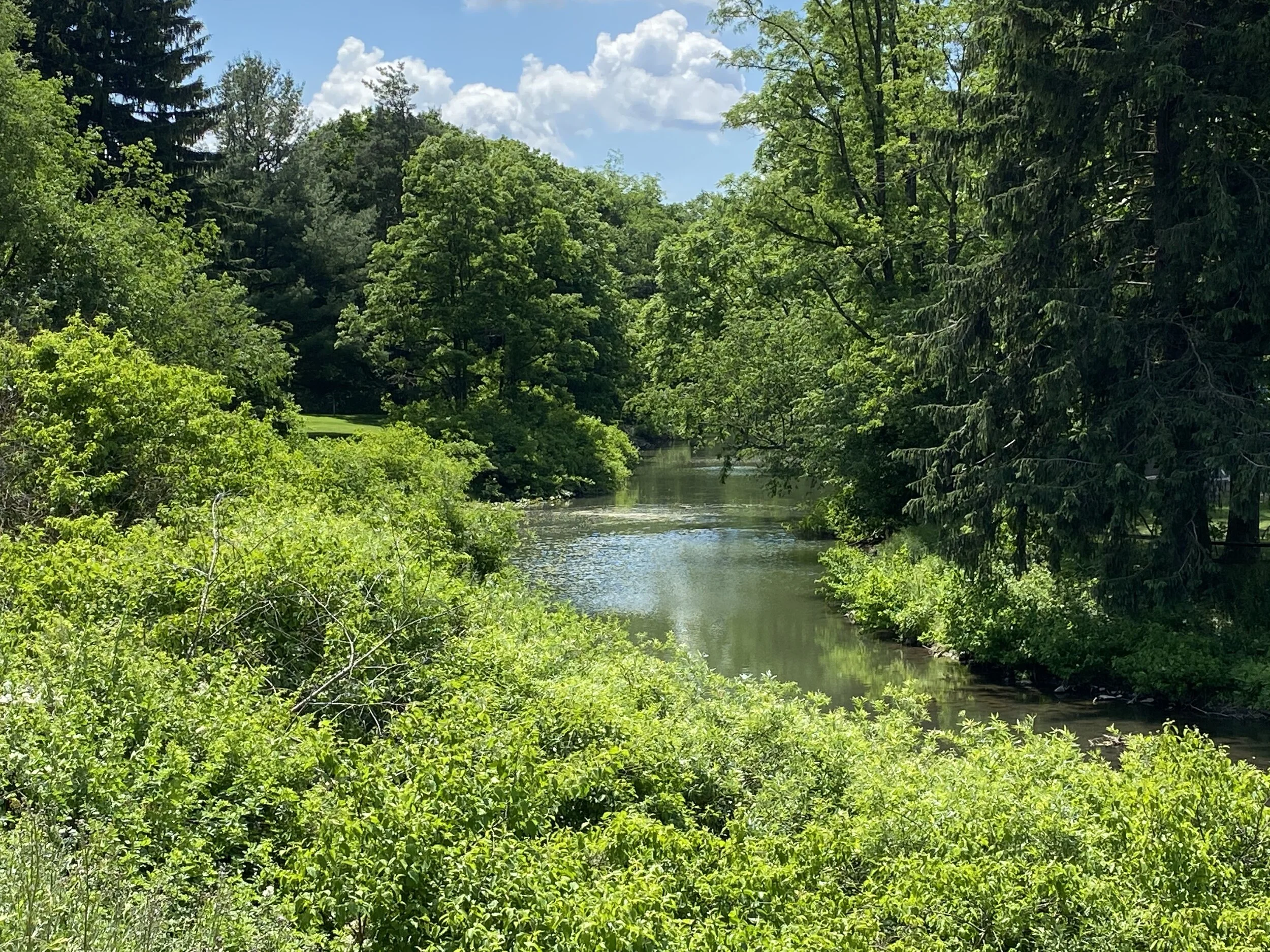 Stream W Stringfellow 7.2.20.jpeg