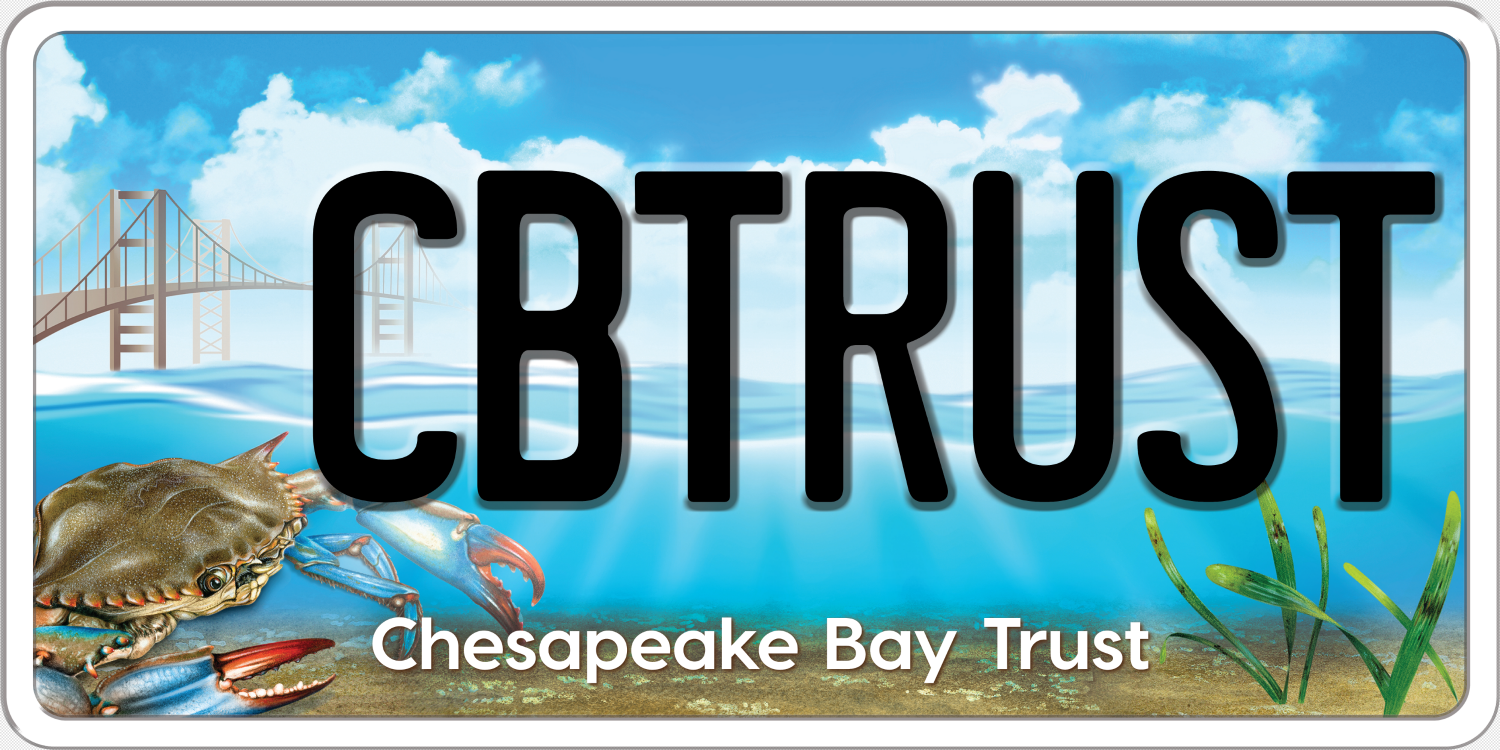 CBTrust Logo.png