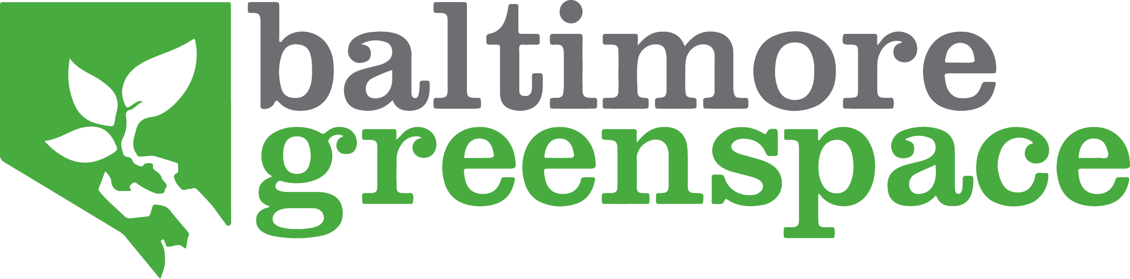 BGS LOGO internet.png