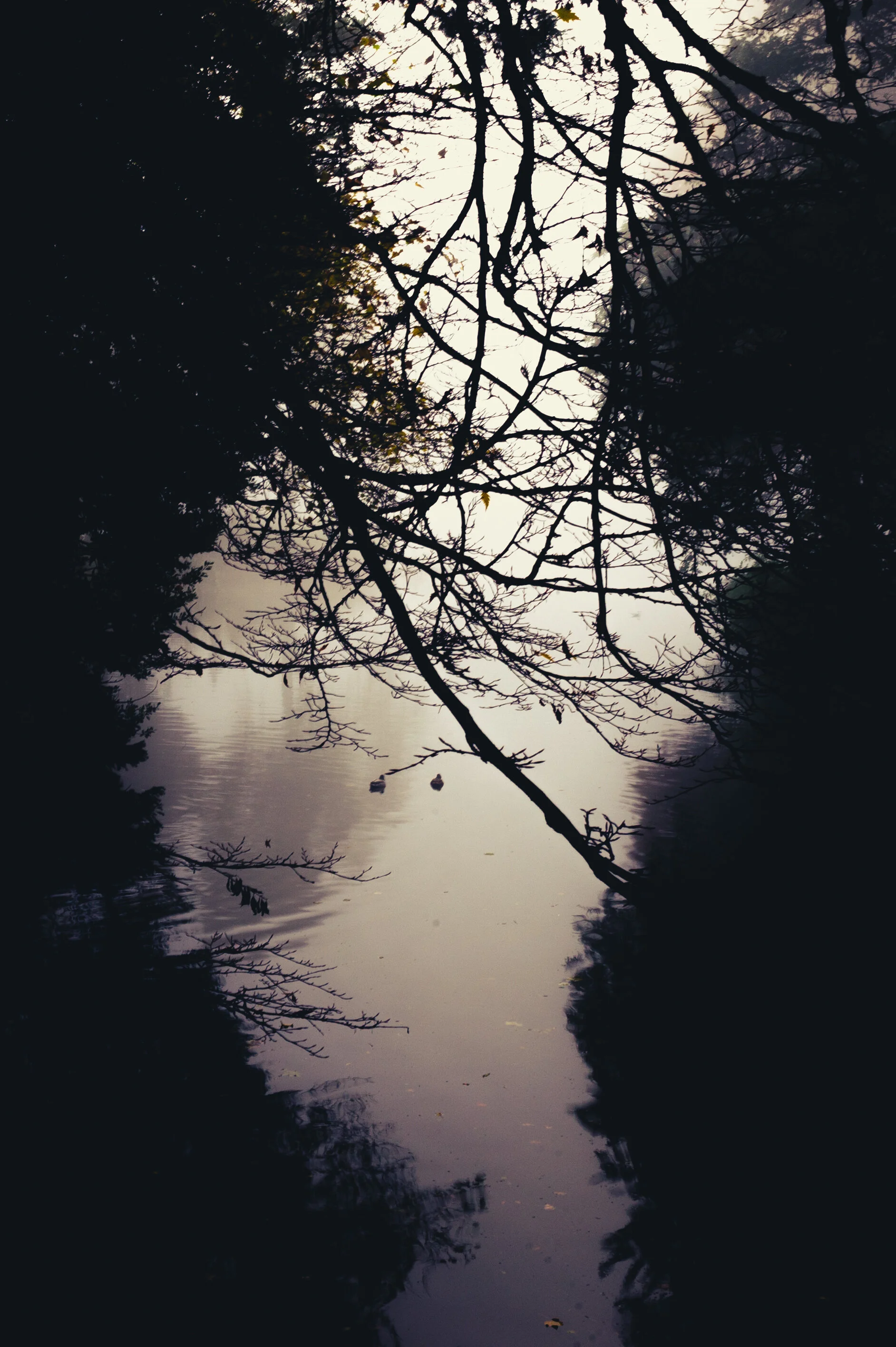 Highfields Nov 2020-1.jpg