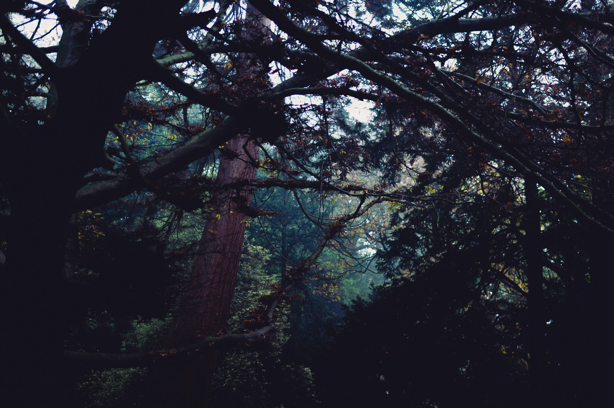 Highfields Nov 2020-2.jpg
