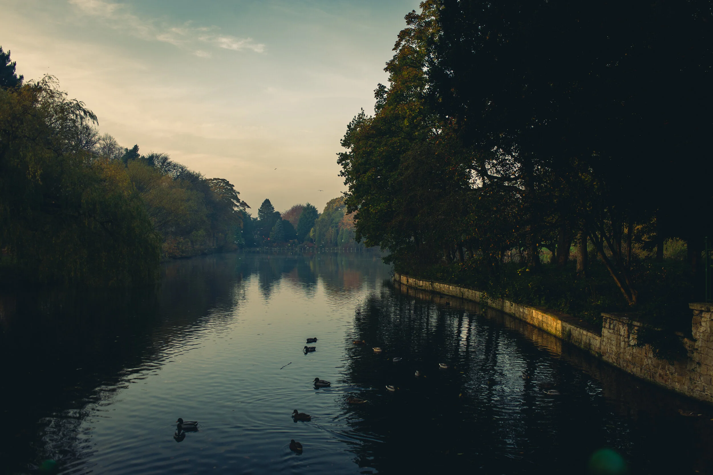 Highfields Nov 2020-3.jpg