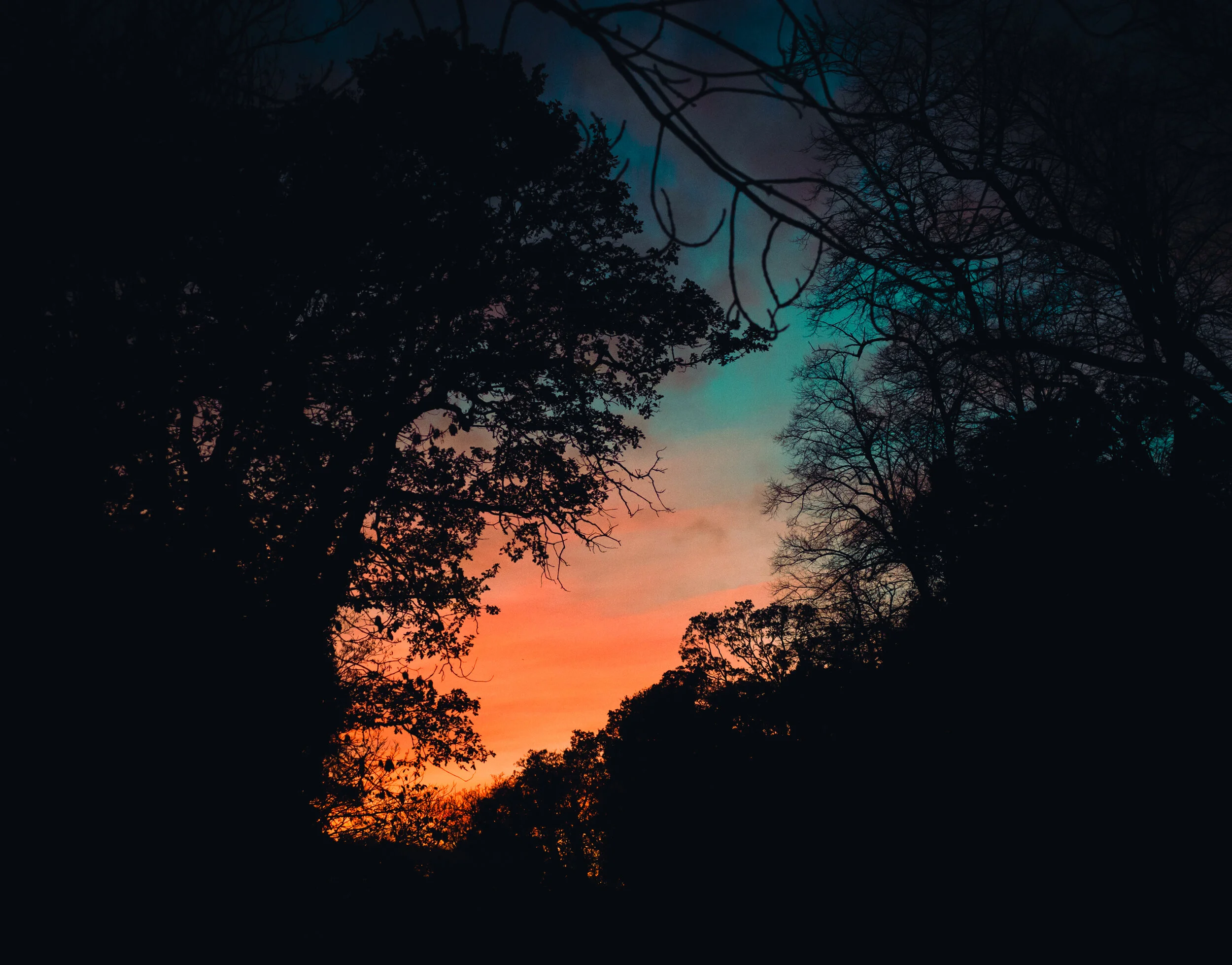 Sunset sillouette reedit-2.jpg