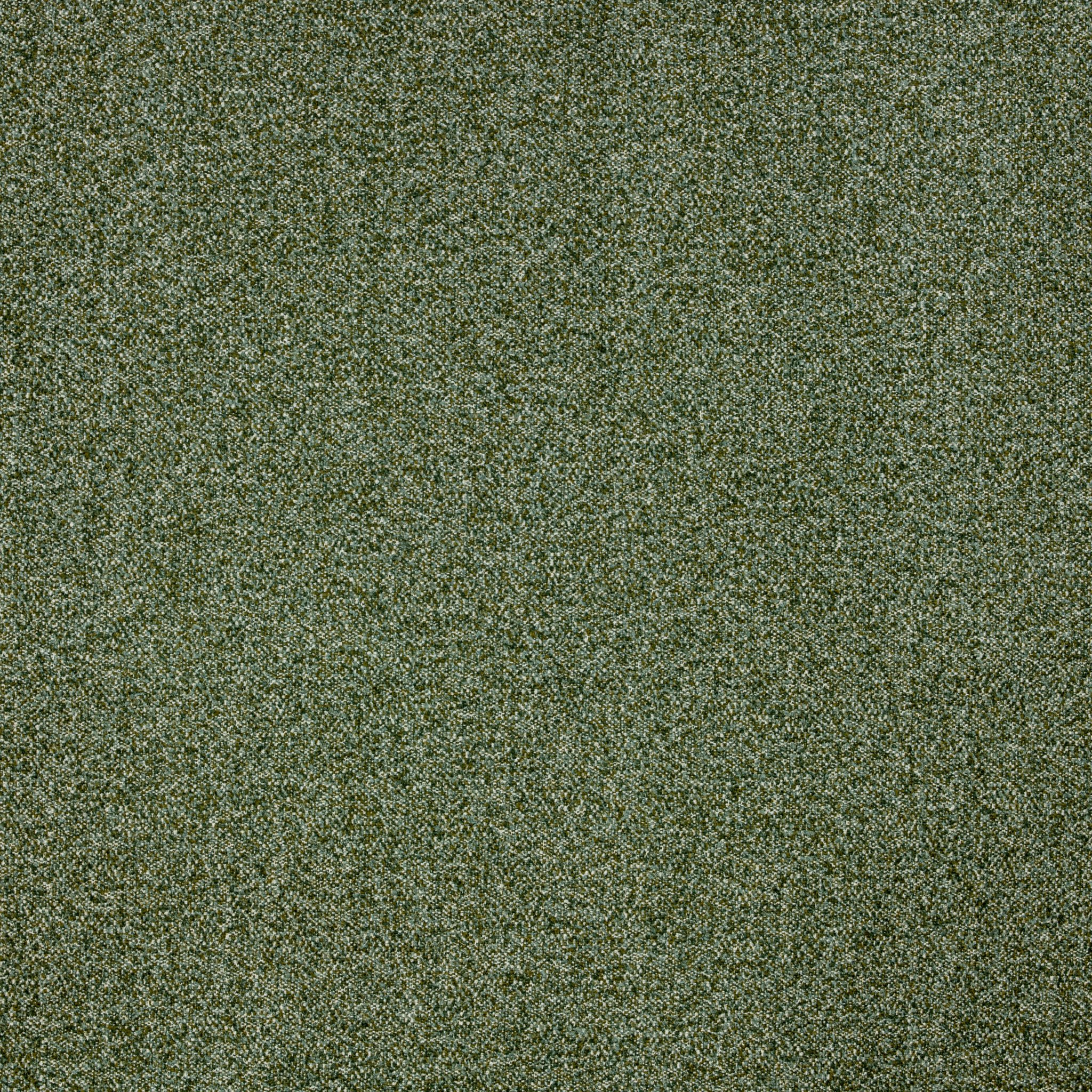 Savio Grass