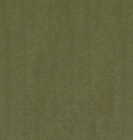 Arlo.JPG