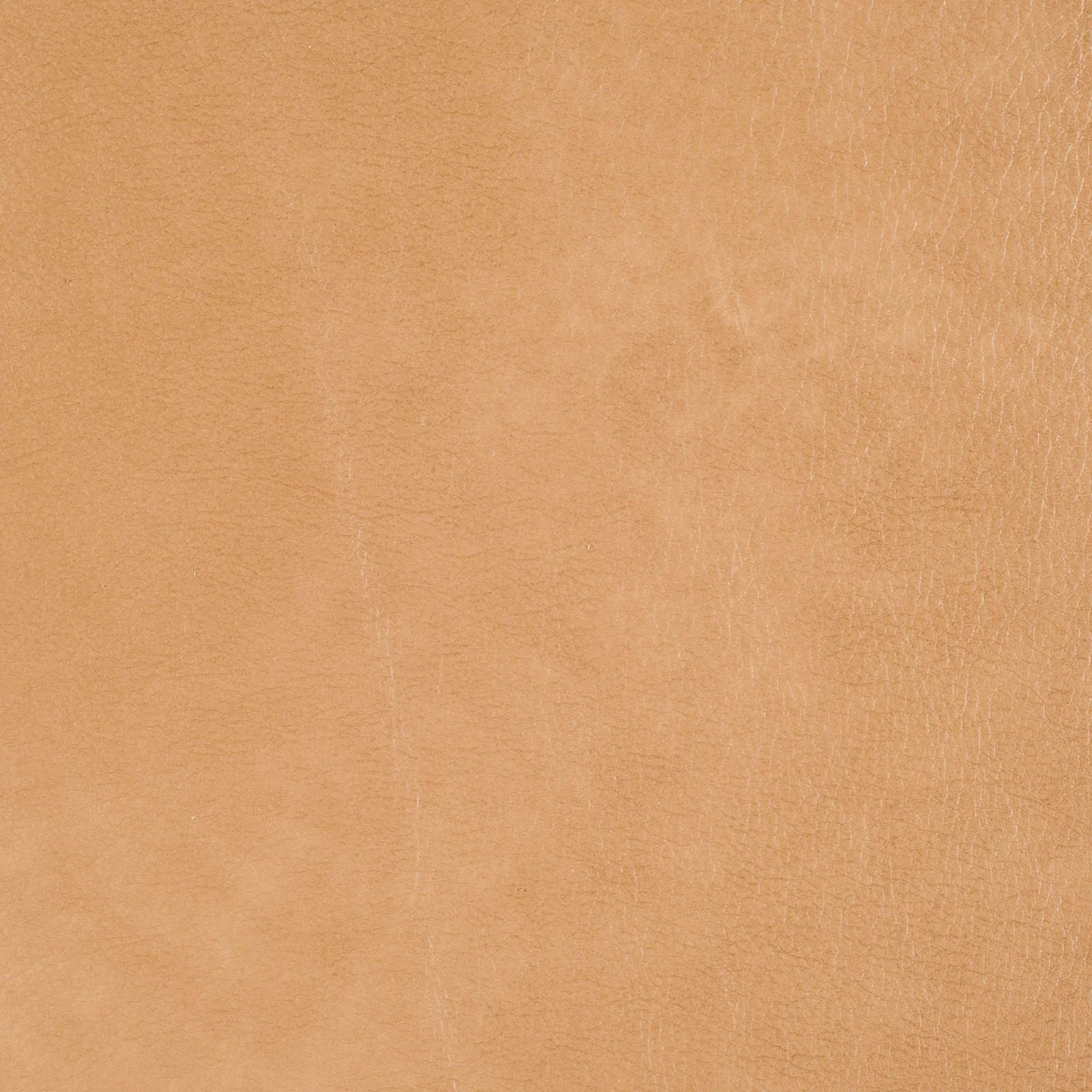 Renaldi Sand