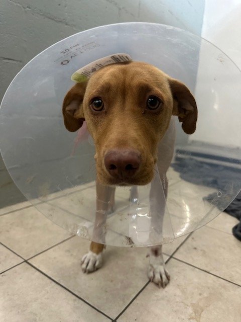 Photo Feb 11 2026, 4 39 57 PM.JPG