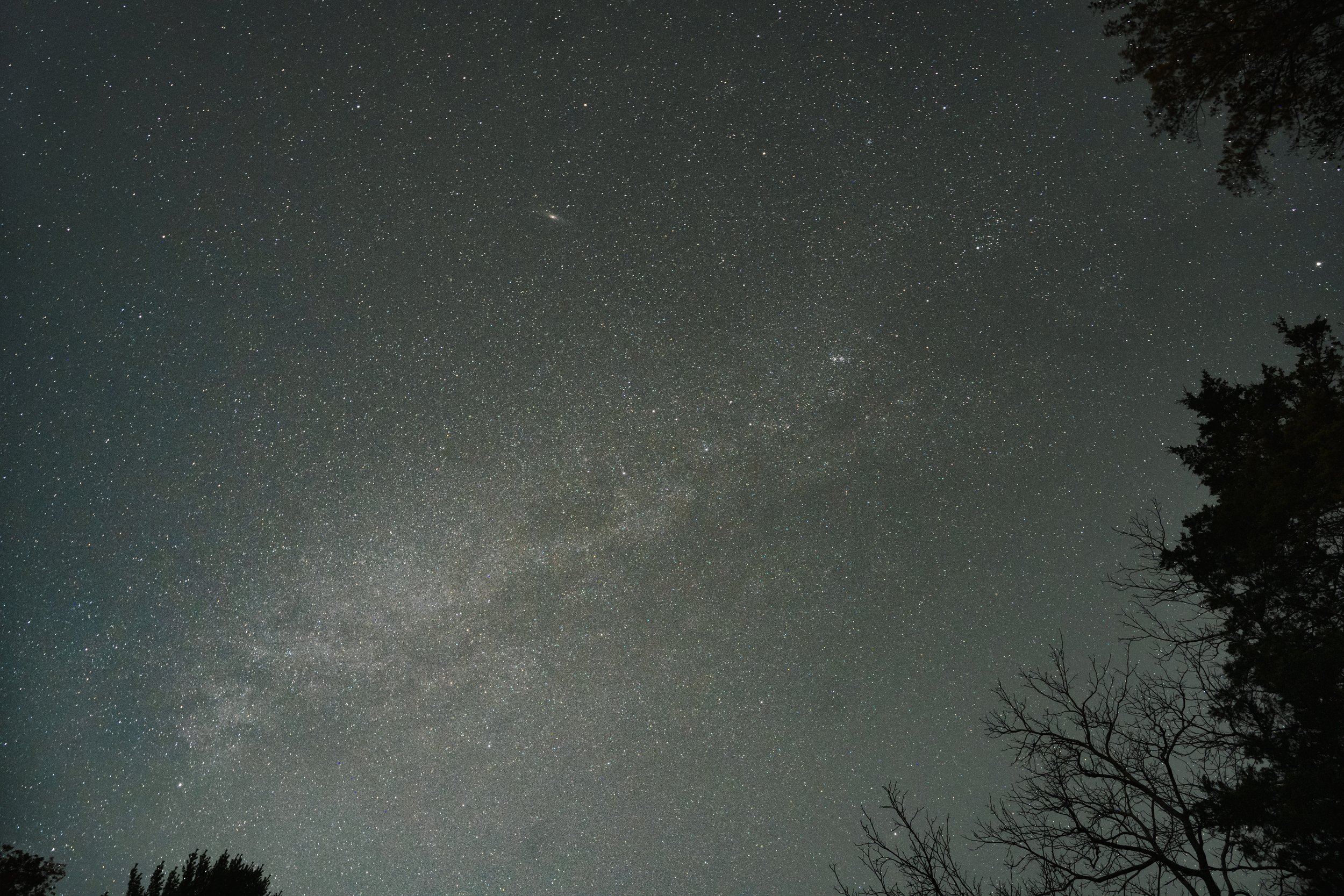 Milky.jpg