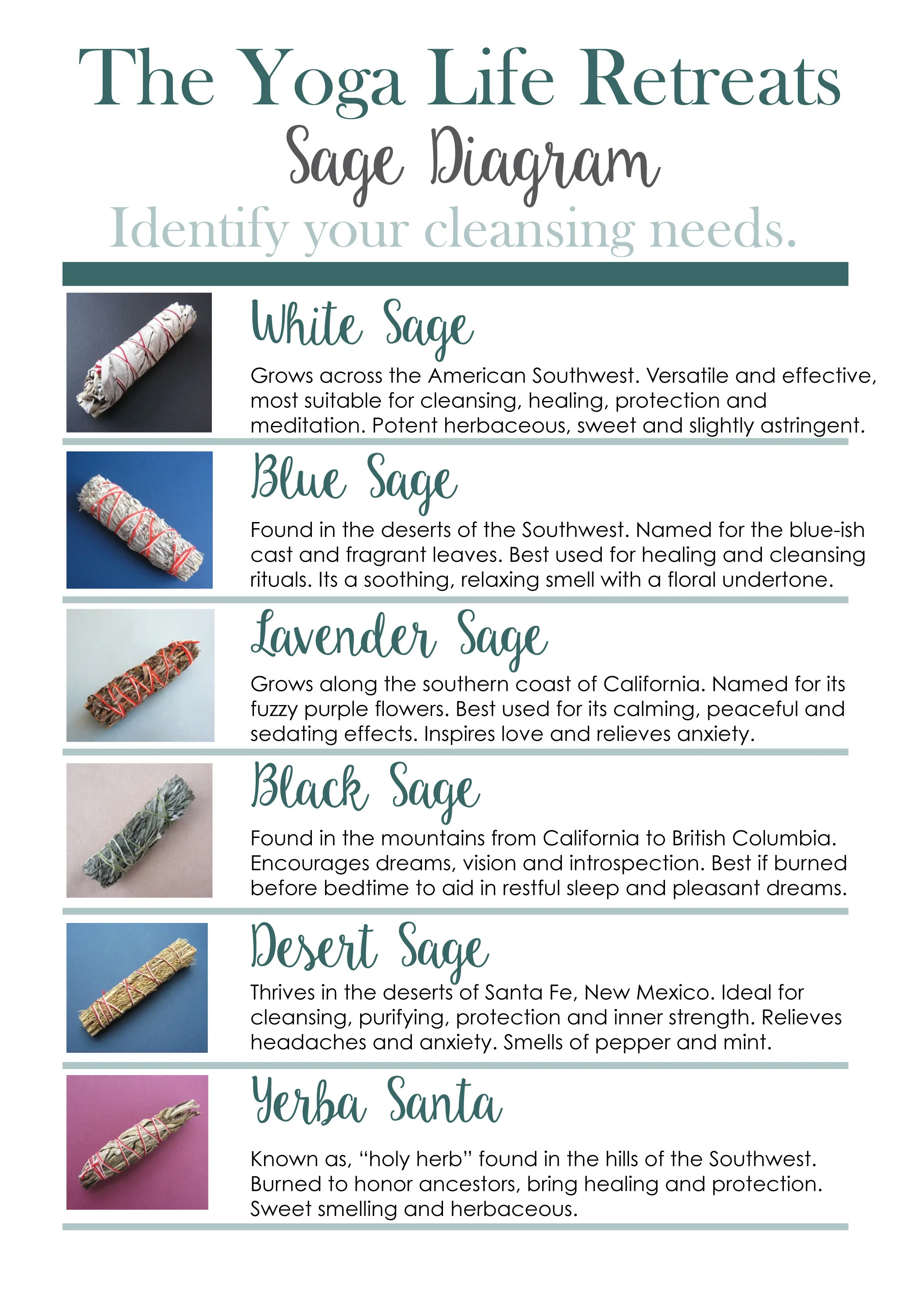 Sage-Diagram-LRG.jpg